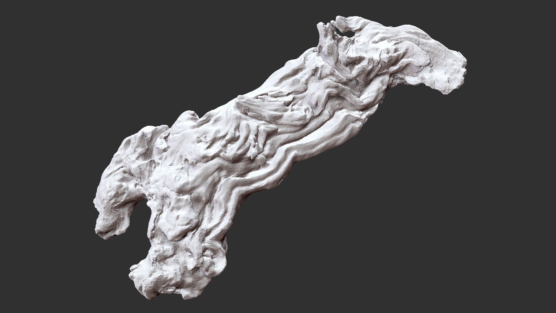 3d scan of the tree trunk 3D model_23