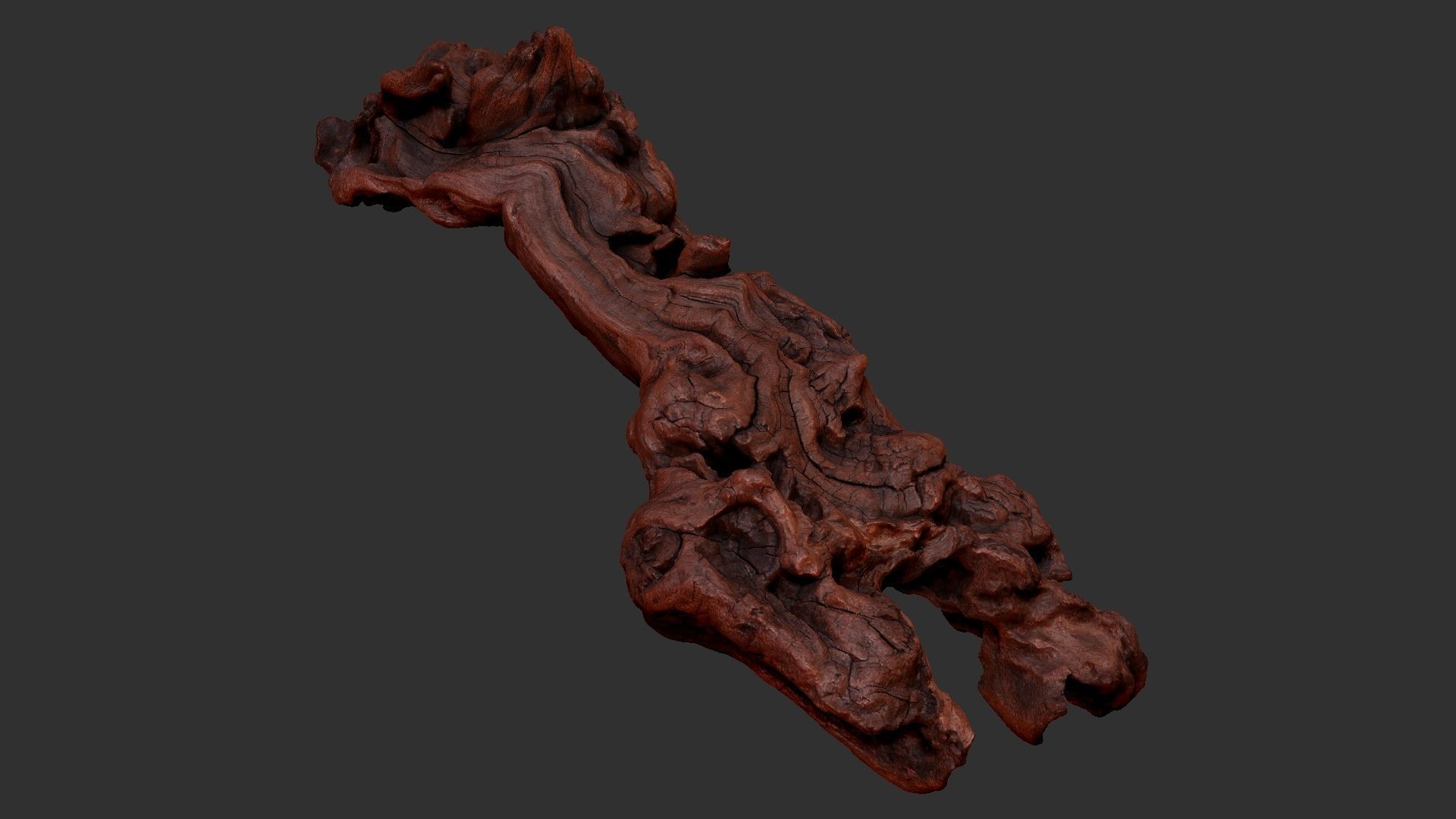 3d scan of the tree trunk 3D model_22