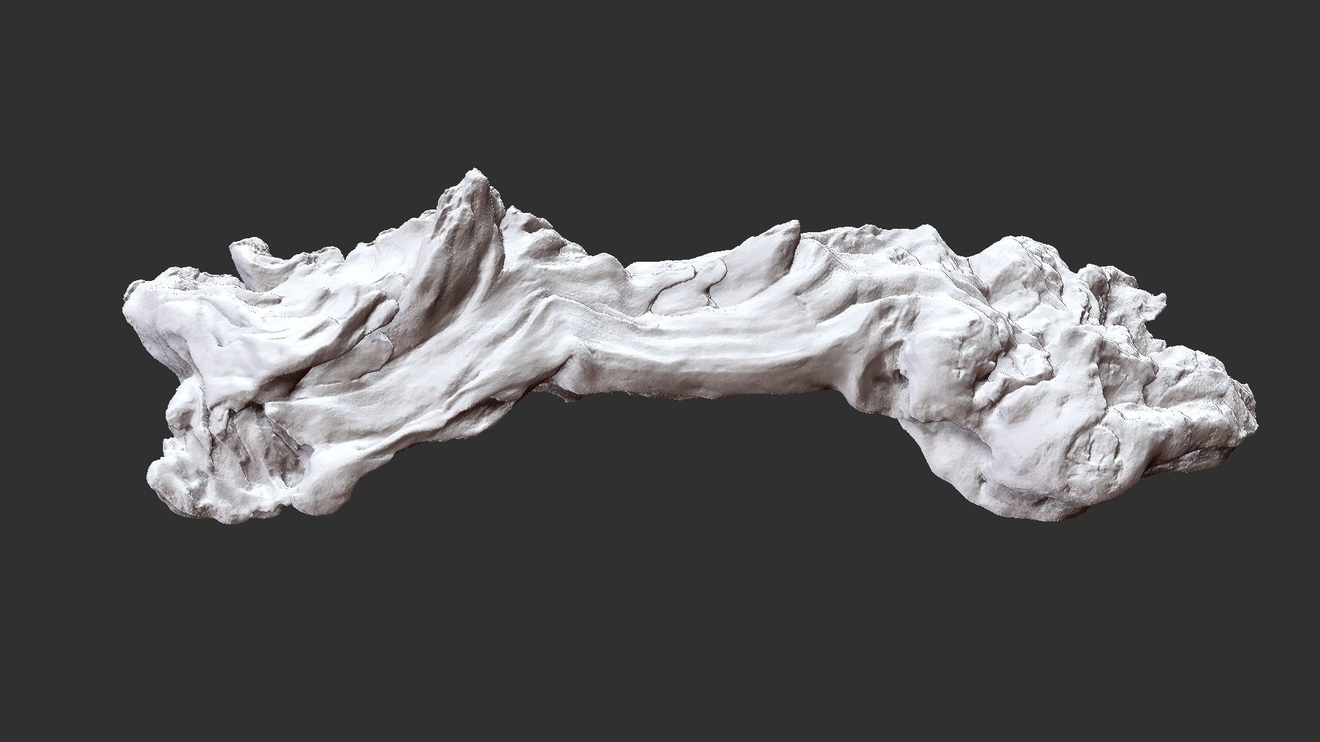 3d scan of the tree trunk 3D model_26