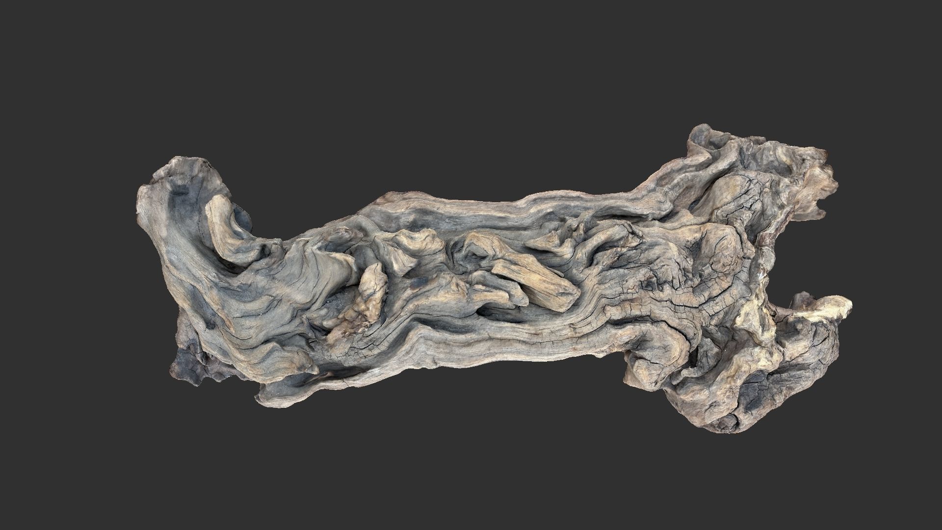 3d scan of the tree trunk 3D model_13