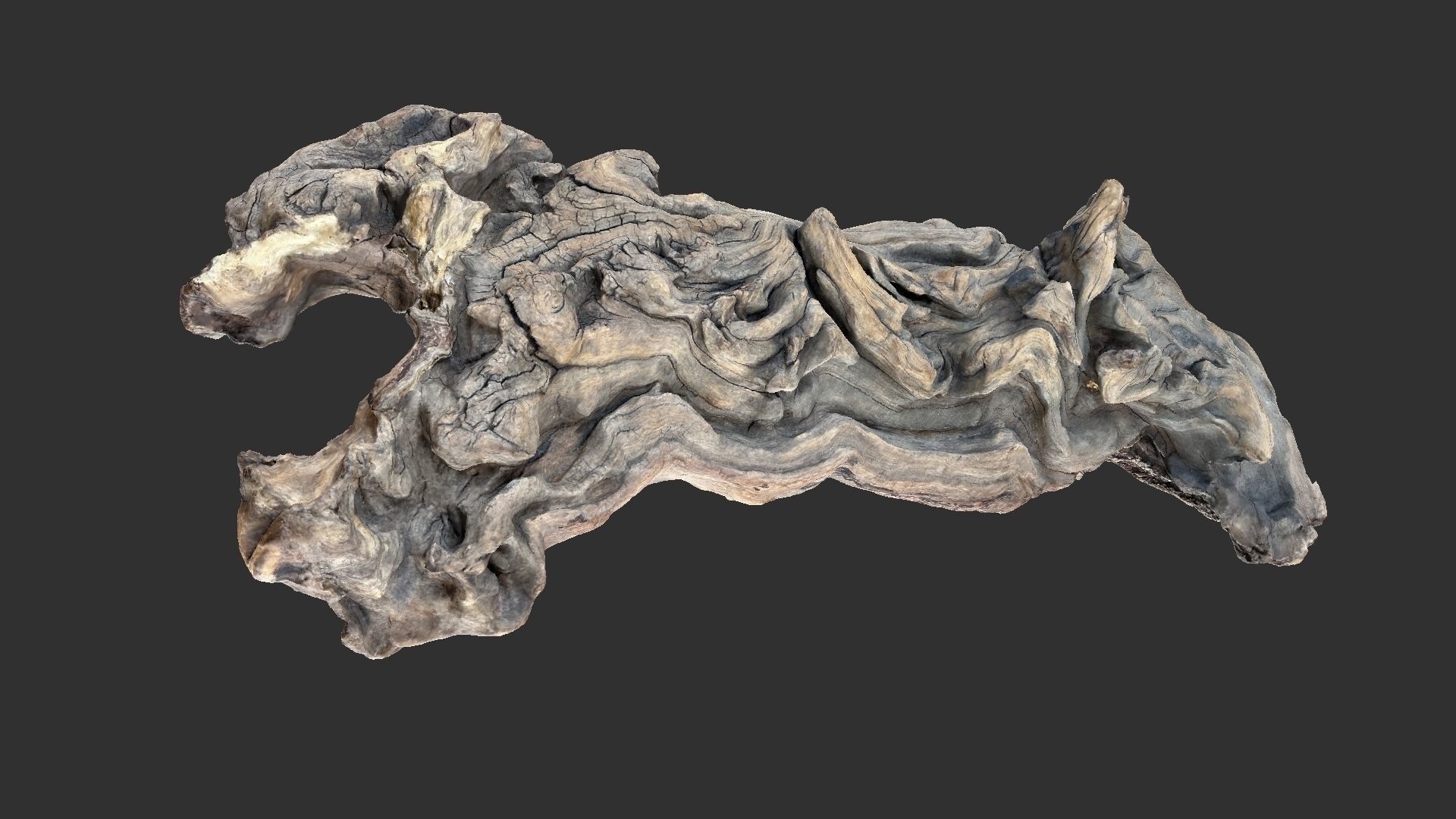 3d scan of the tree trunk 3D model_6