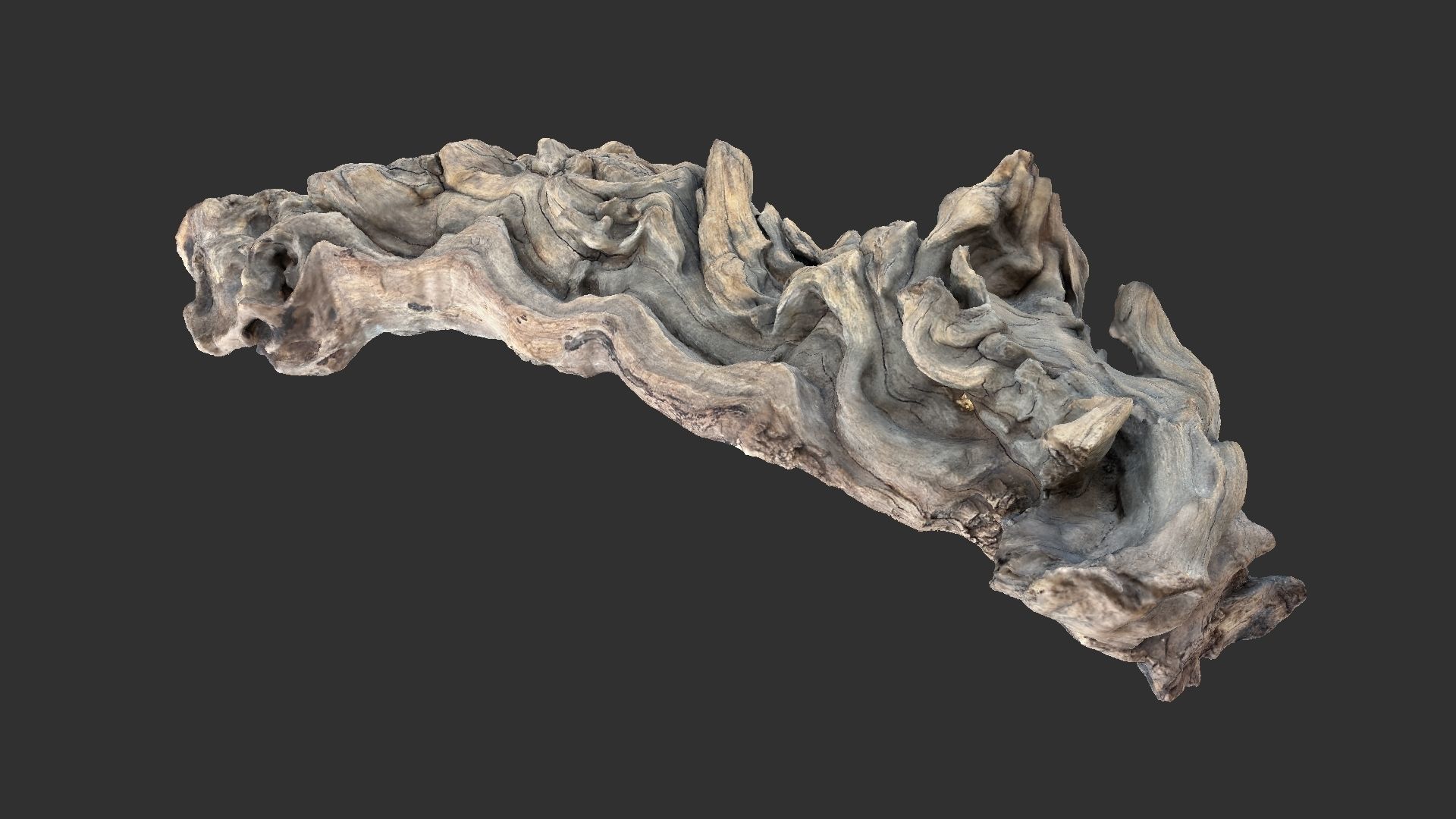 3d scan of the tree trunk 3D model_8