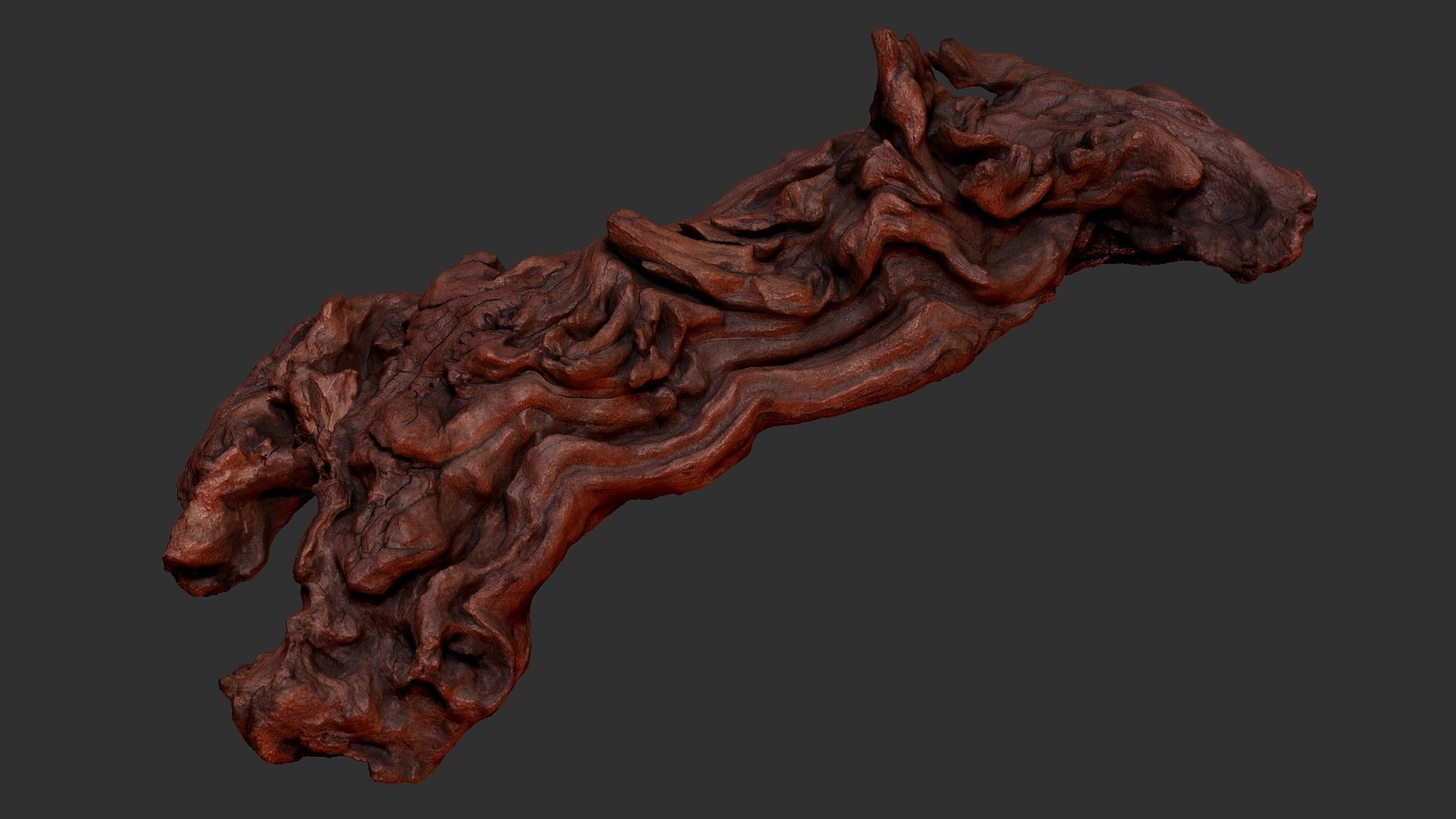 3d scan of the tree trunk 3D model_17