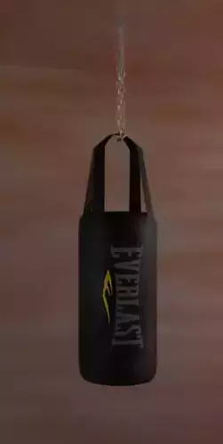 everlast heavy boxing bag Free low-poly 3D model