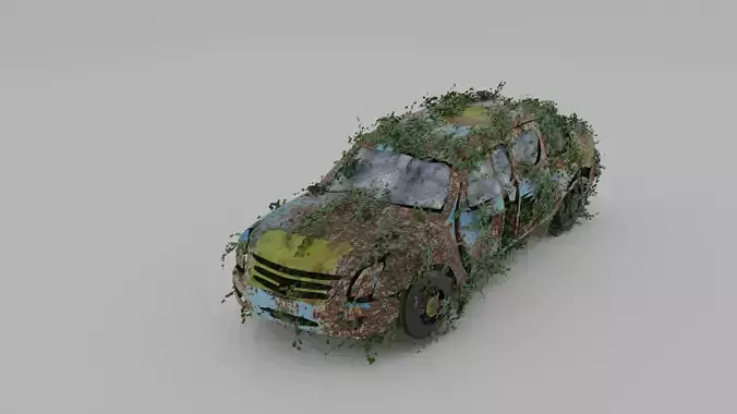 Damaged Rusty Car