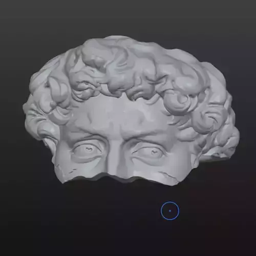 David 3D Sculpture Ring 