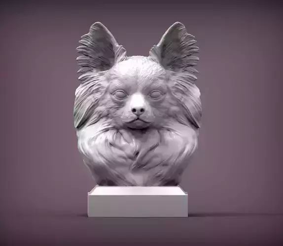 papillon bust