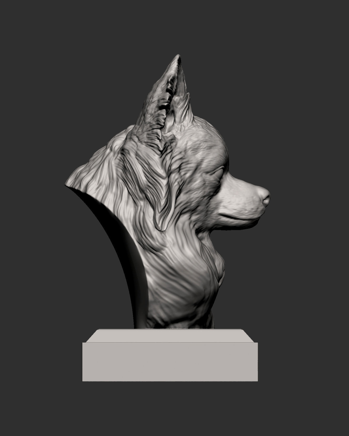papillon bust 3D print model_4