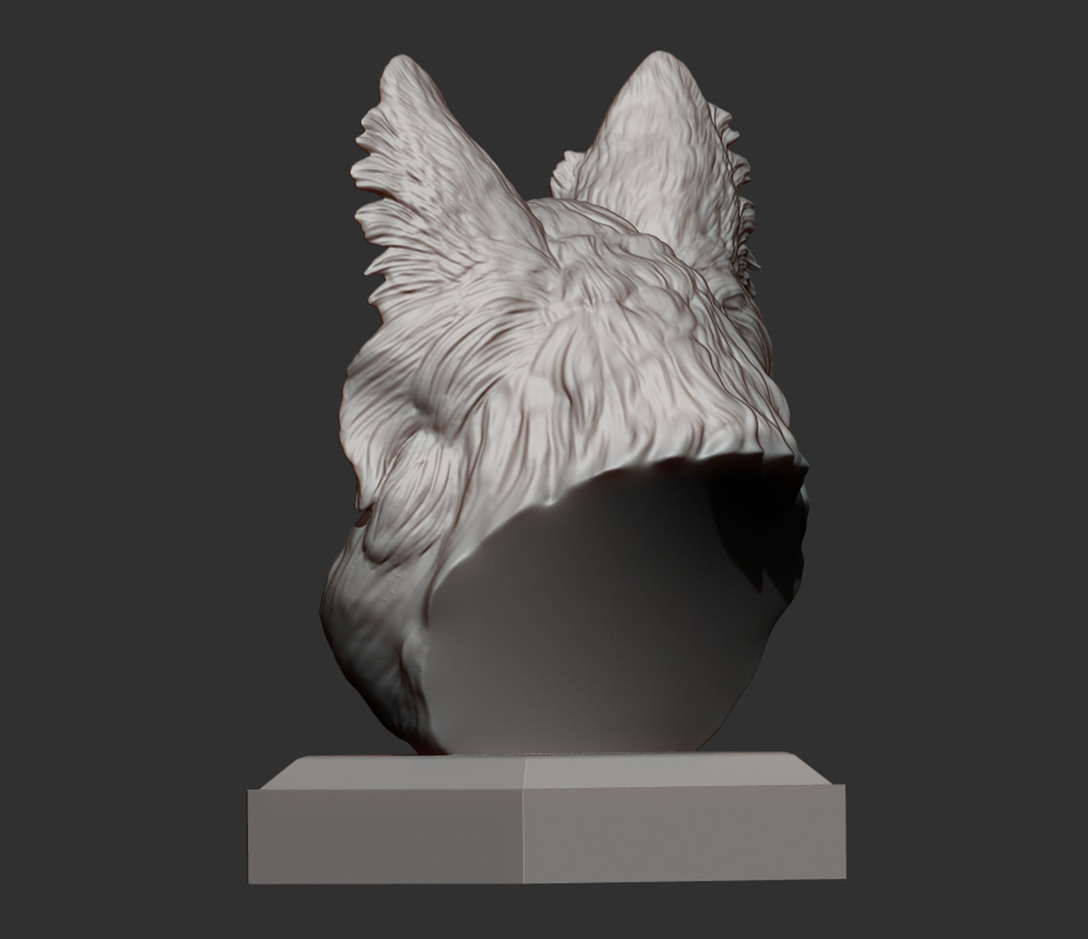 papillon bust 3D print model_6