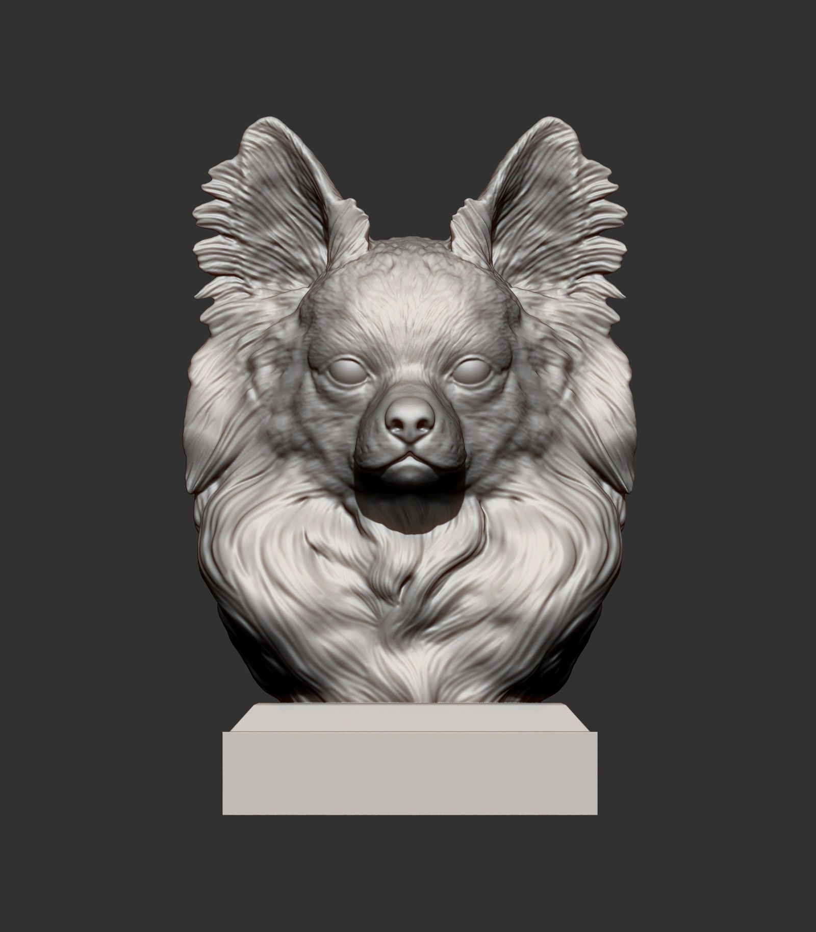 papillon bust 3D print model_5