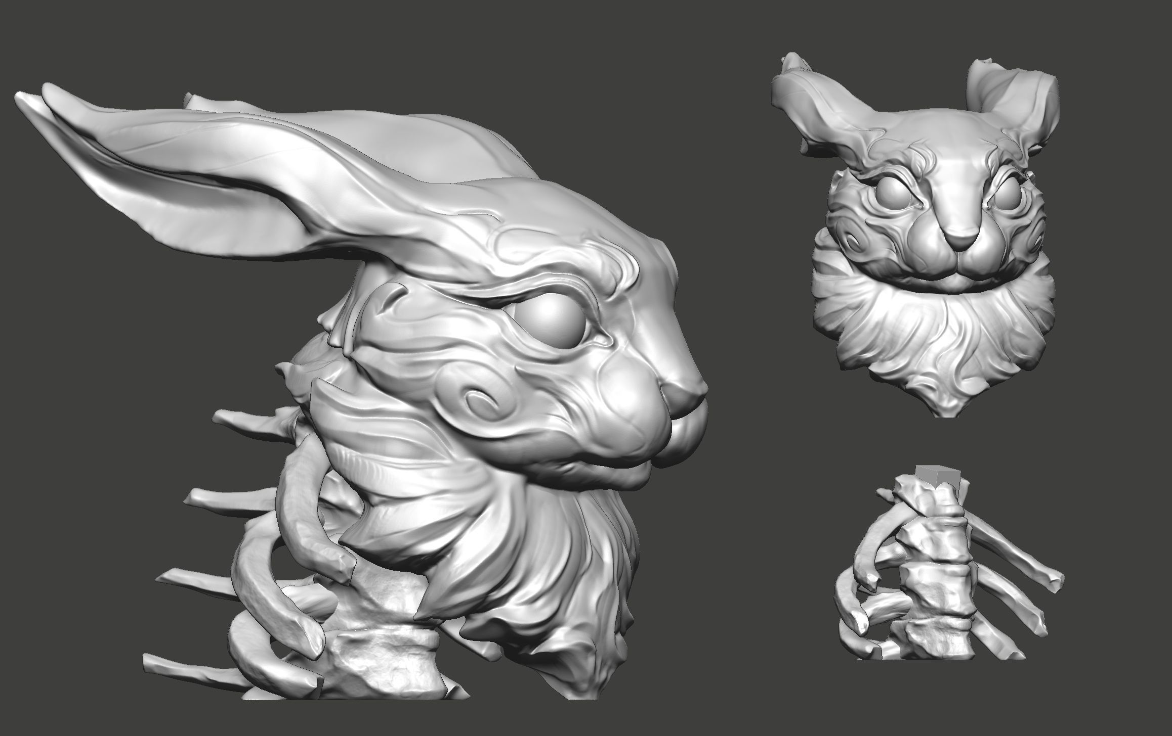 Rabbit Skeleton  3D print model_4