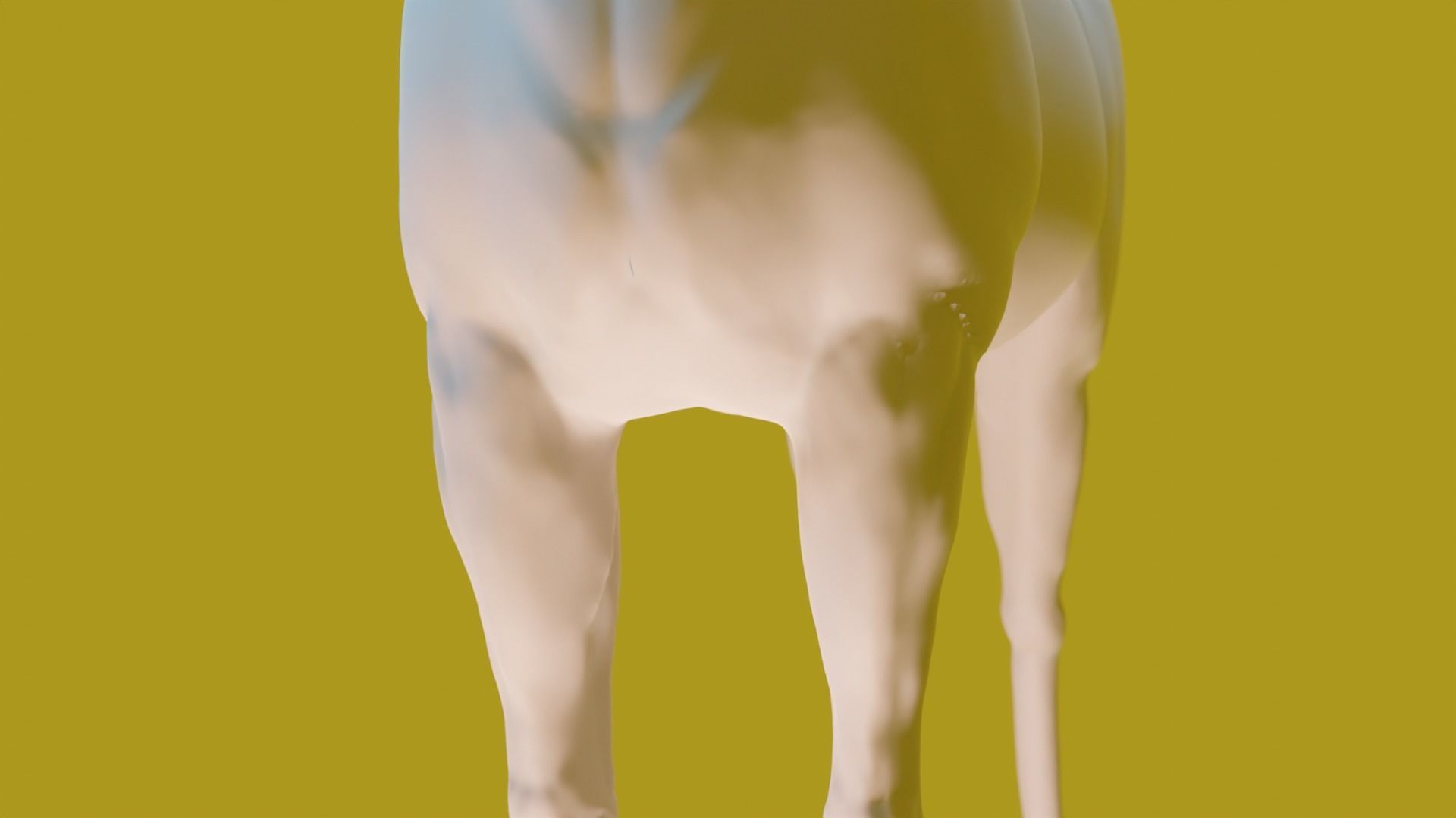 Purasangre horse 3D model_1