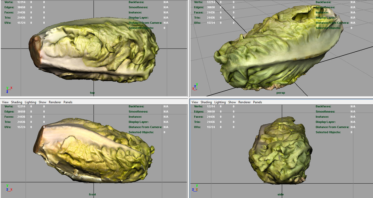 Letucce slice of lettuce Low-poly 3D model_6