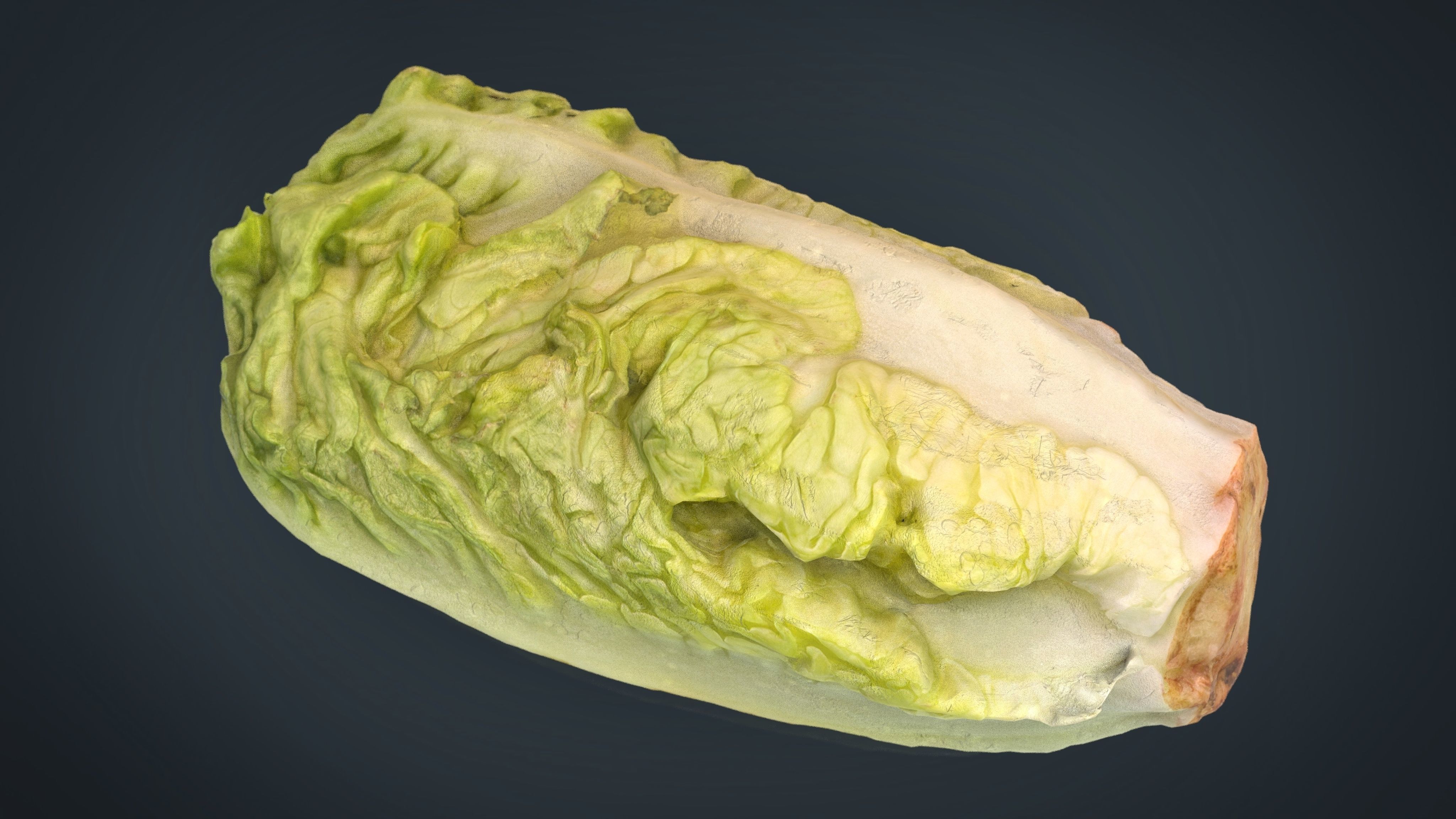 Letucce slice of lettuce Low-poly 3D model_2