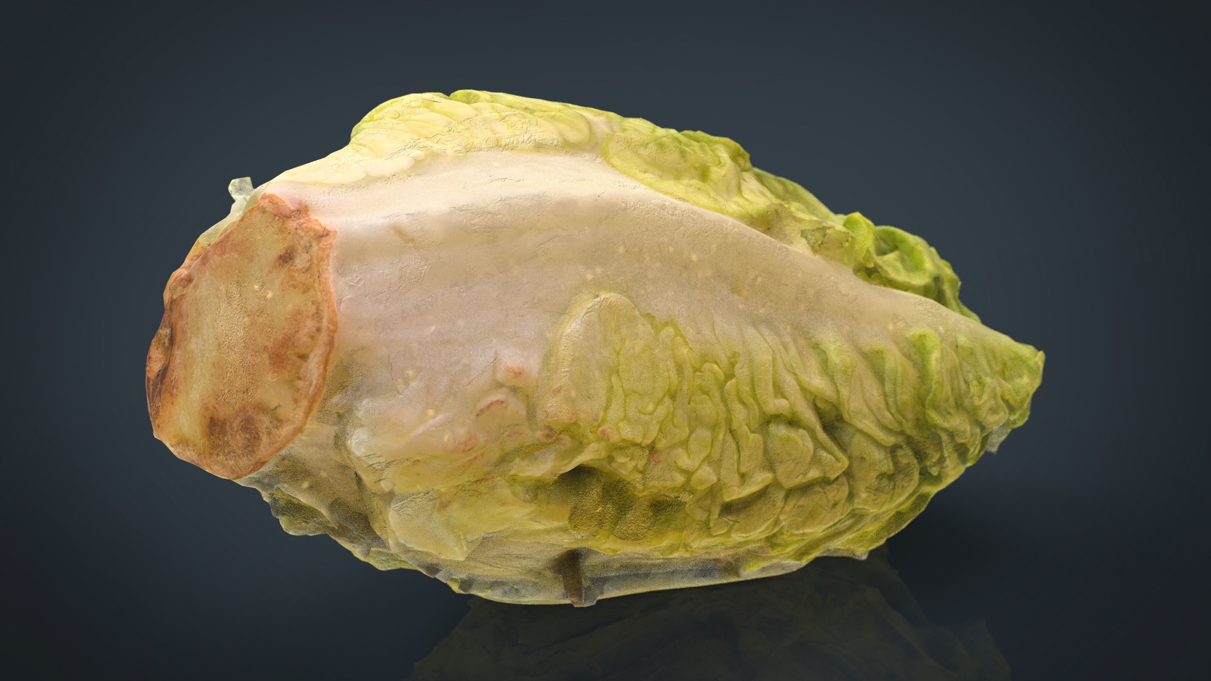 Letucce slice of lettuce Low-poly 3D model_3