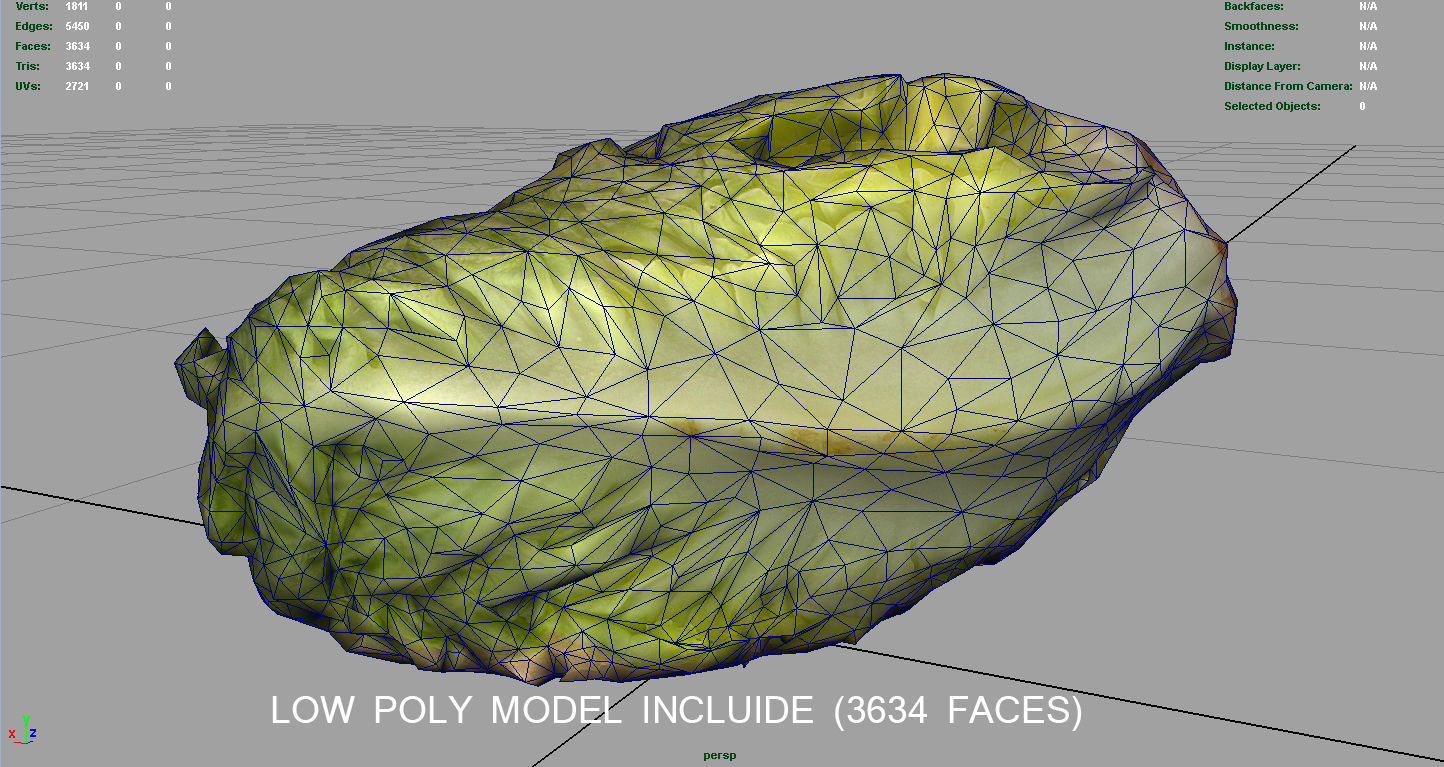Letucce slice of lettuce Low-poly 3D model_11