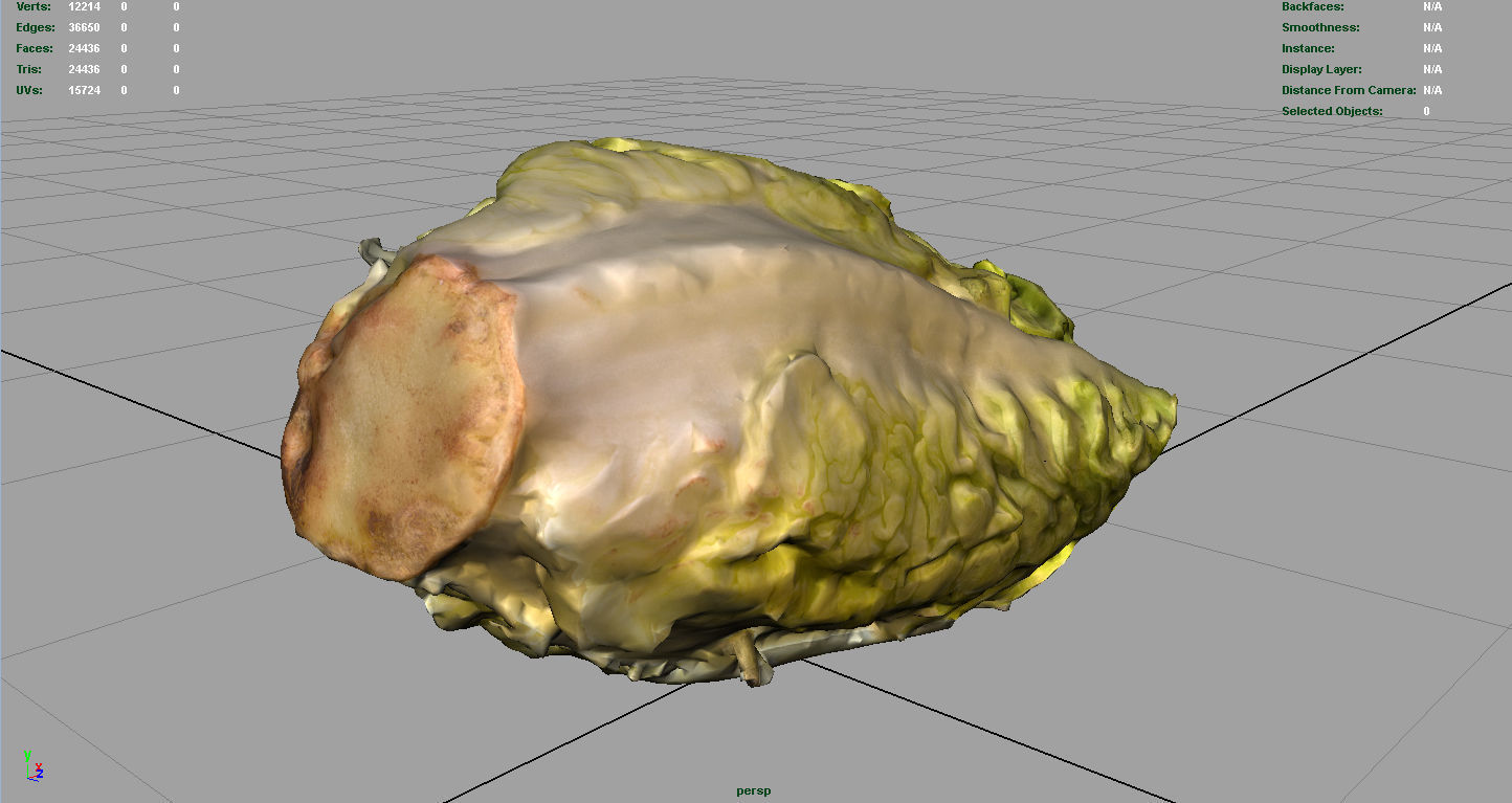 Letucce slice of lettuce Low-poly 3D model_9