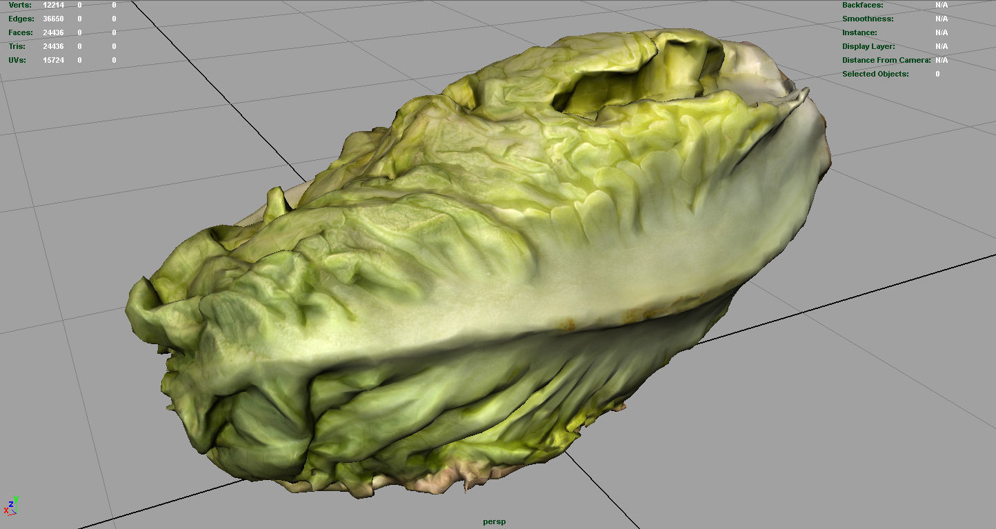 Letucce slice of lettuce Low-poly 3D model_5