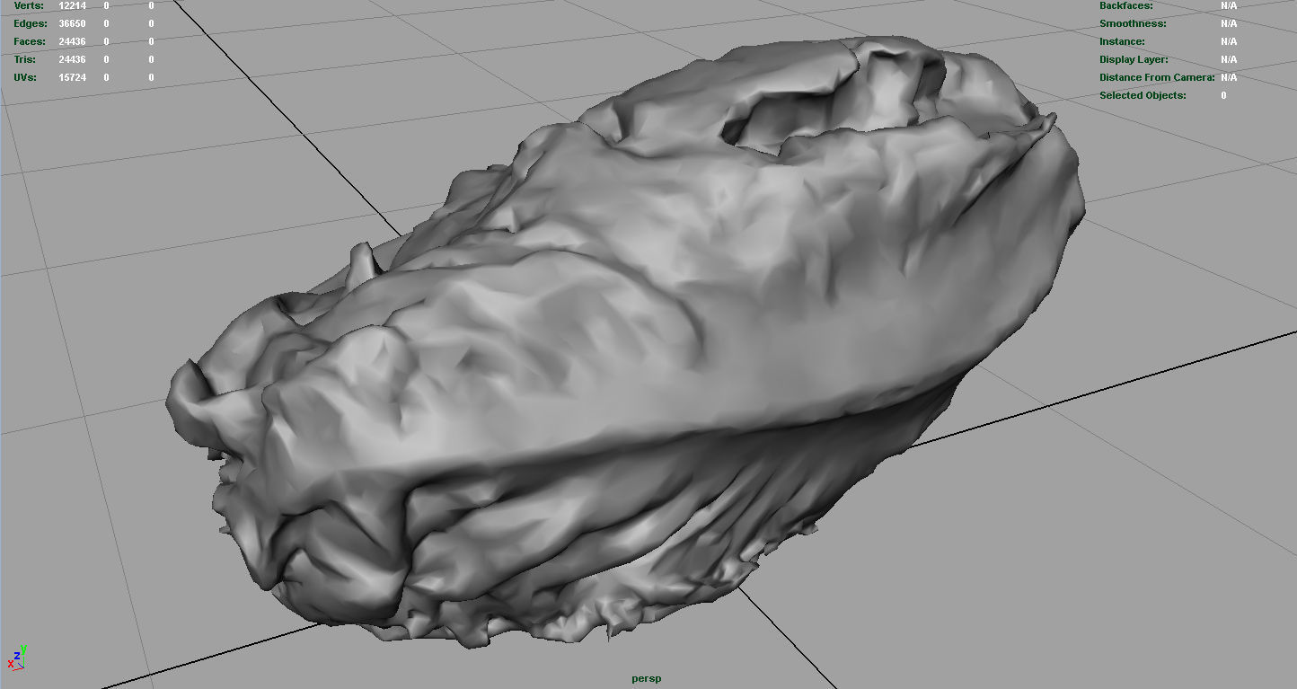 Letucce slice of lettuce Low-poly 3D model_4