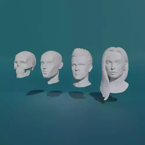 High poly collection of heads 3D model