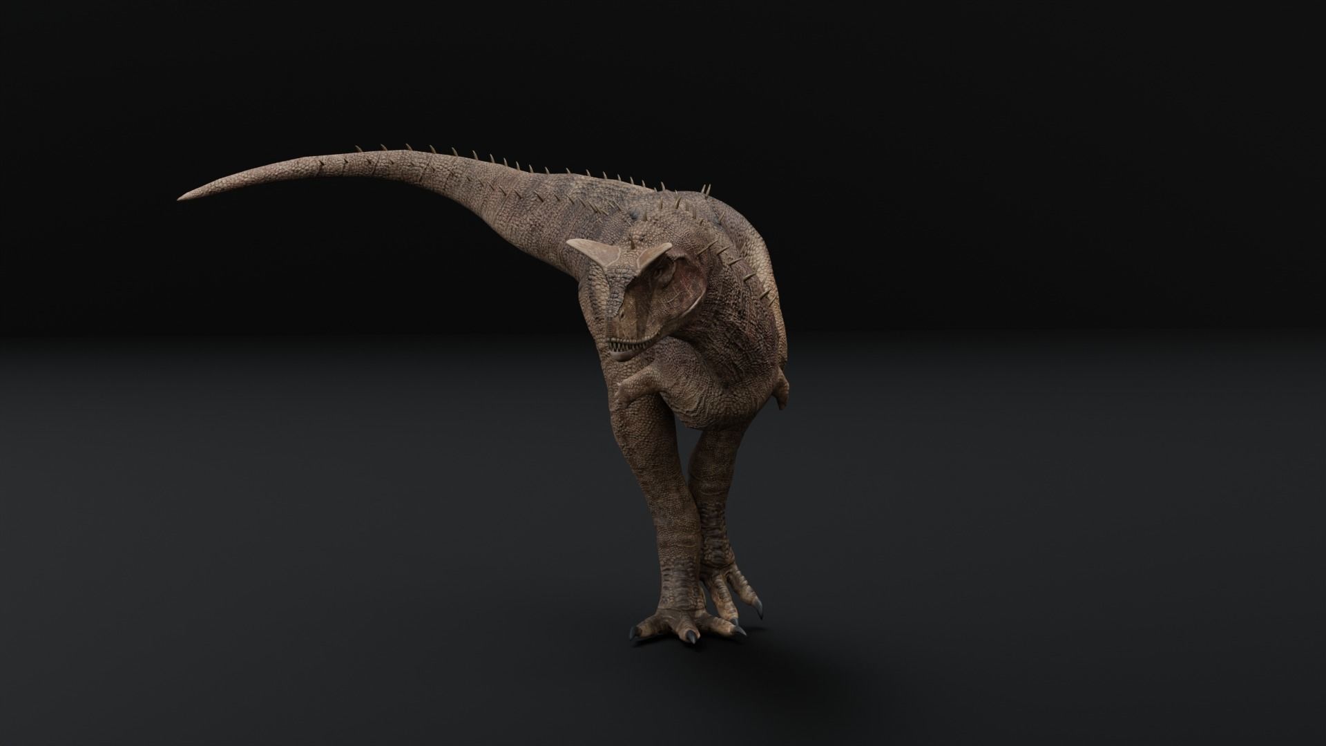 Monster Carnotaurus - Prehistoric Dinosaur Low-poly 3D model_23