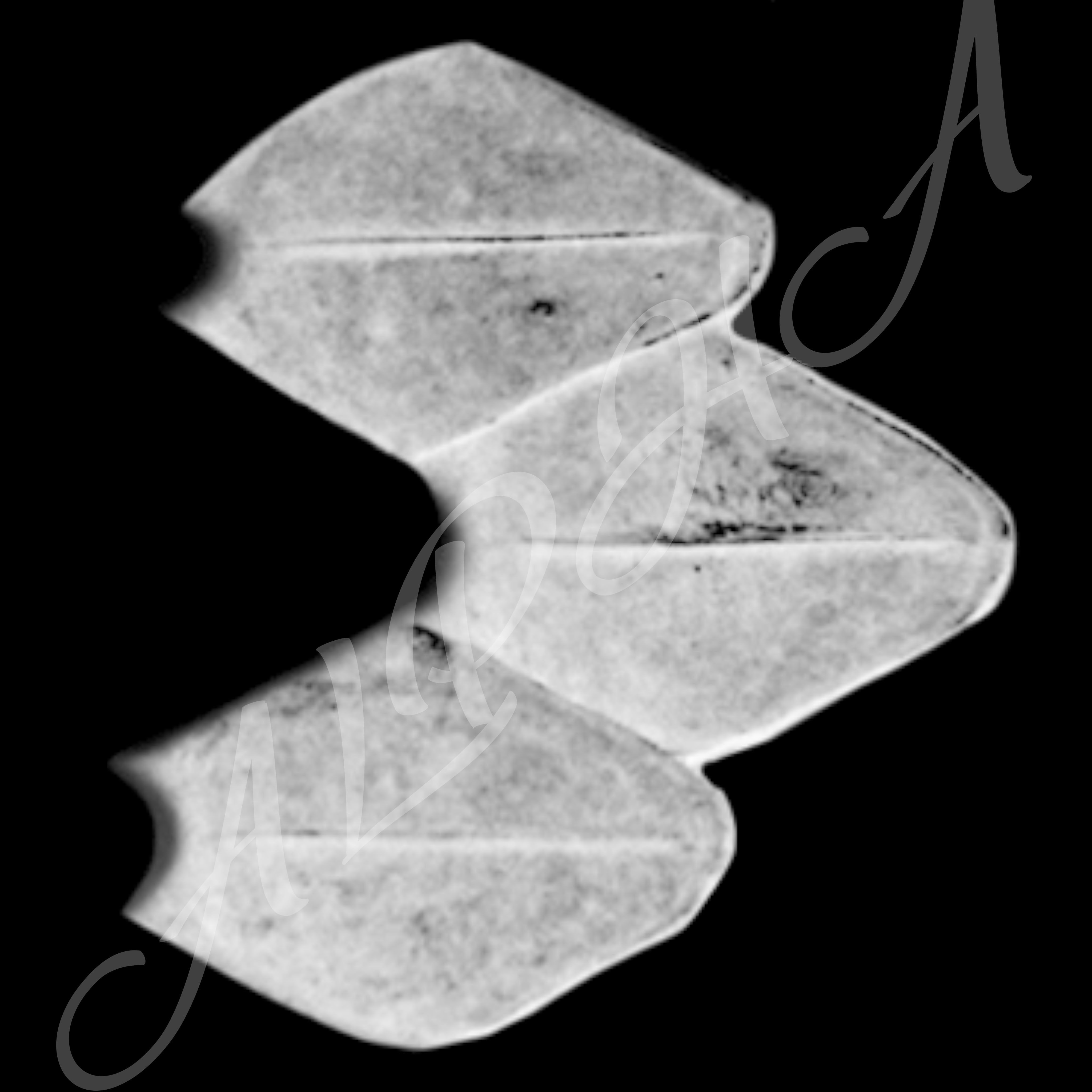 Skin 240 Alpha Patterns 4K Size Full Pack Texture Texture_6