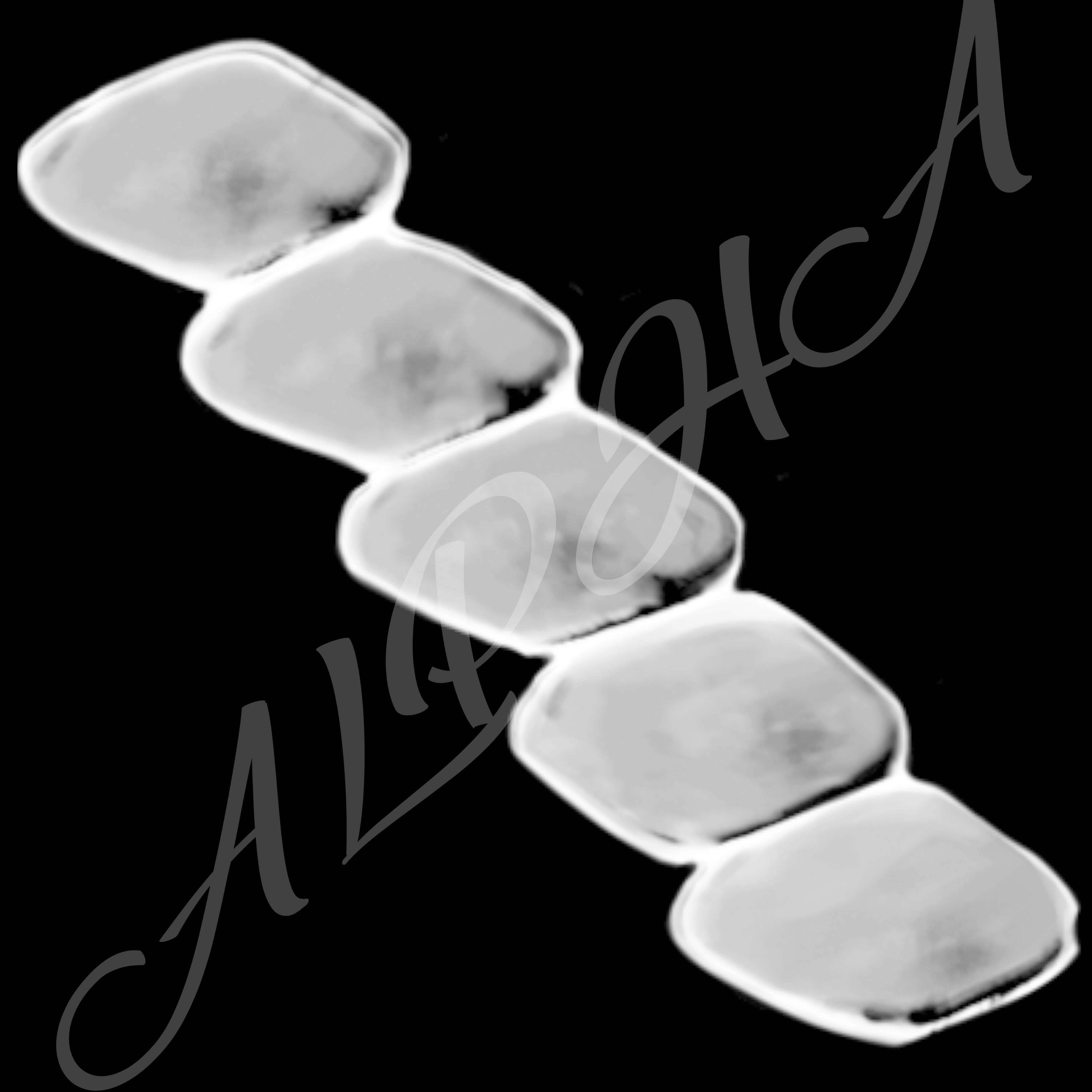 Skin 240 Alpha Patterns 4K Size Full Pack Texture Texture_31