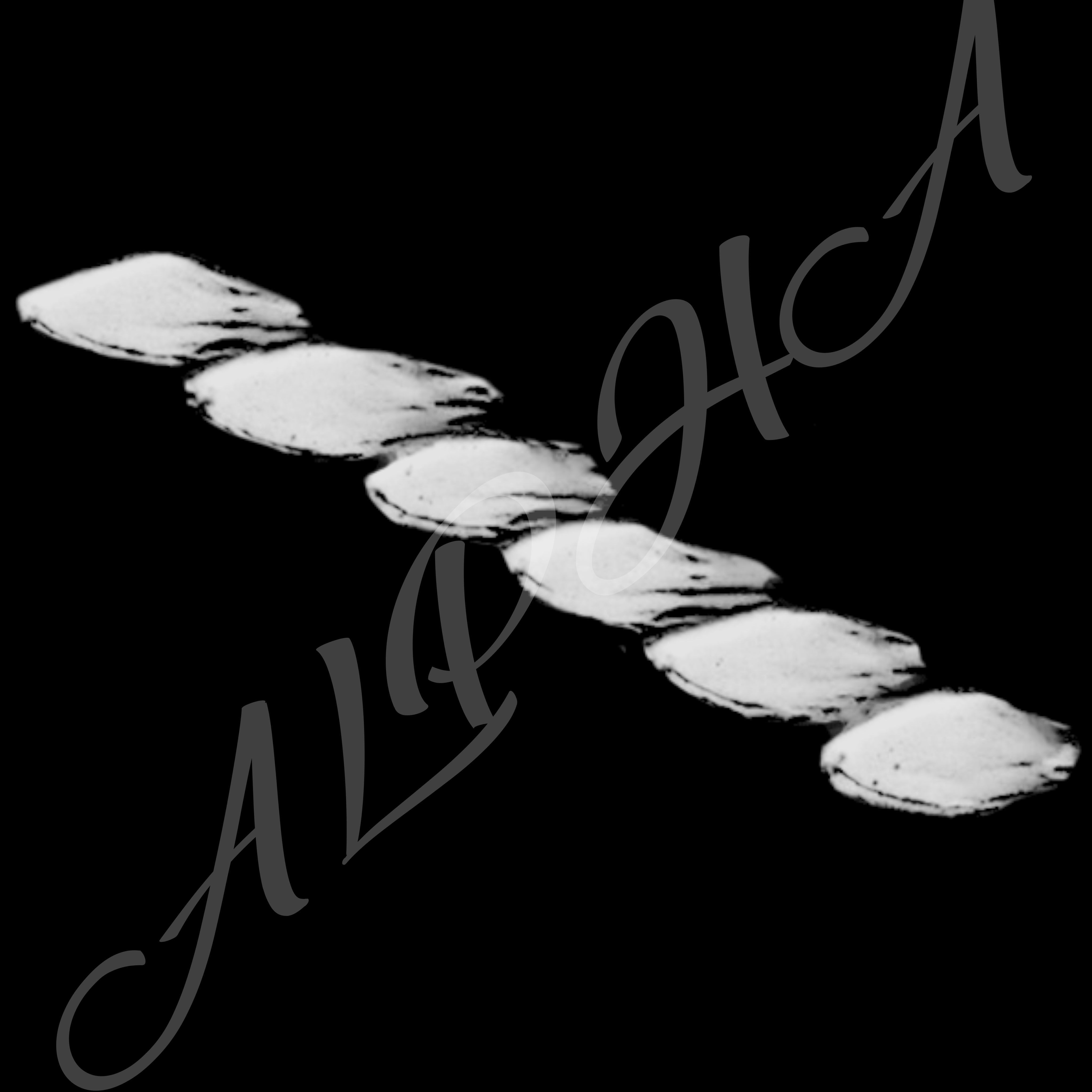 Skin 240 Alpha Patterns 4K Size Full Pack Texture Texture_20