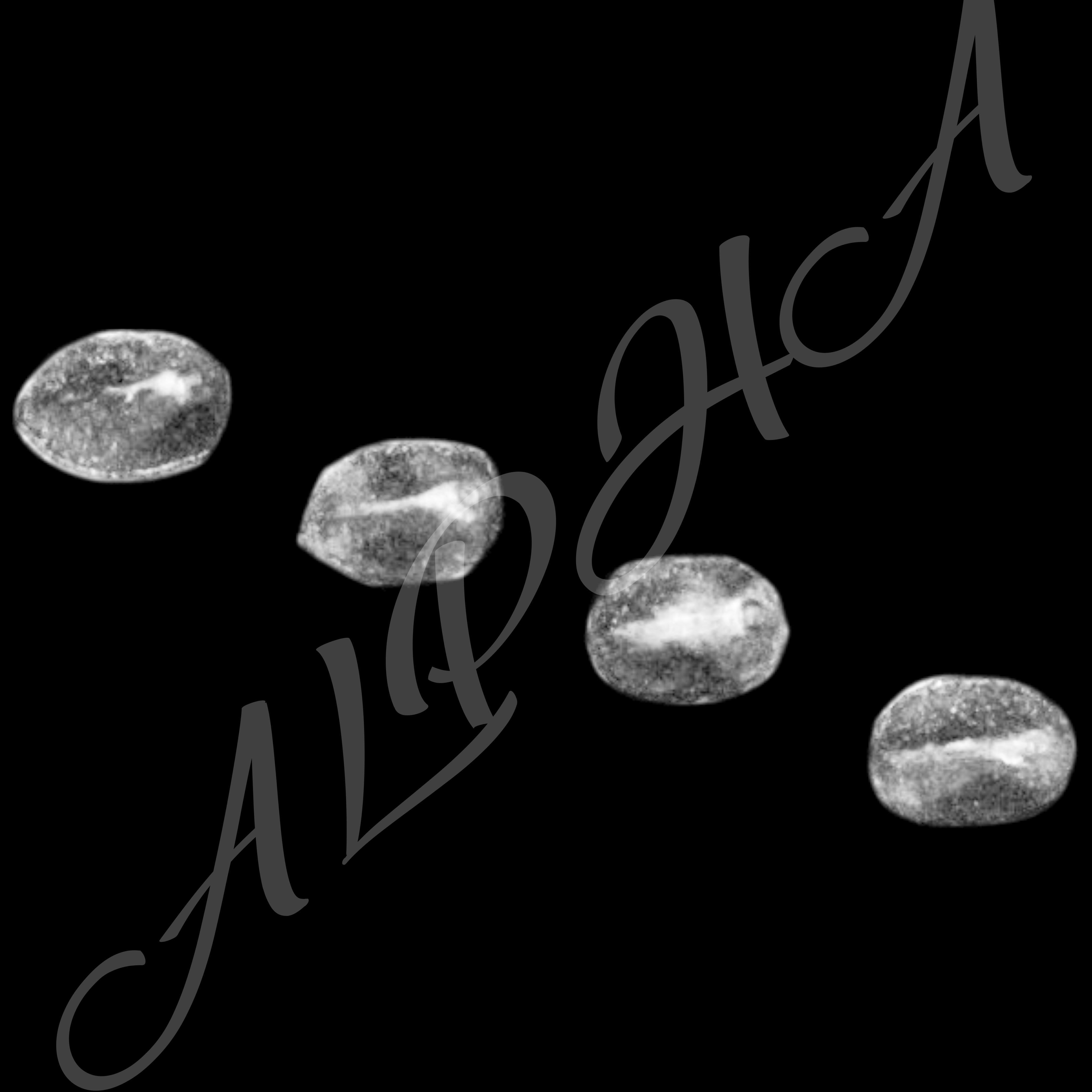 Skin 240 Alpha Patterns 4K Size Full Pack Texture Texture_34