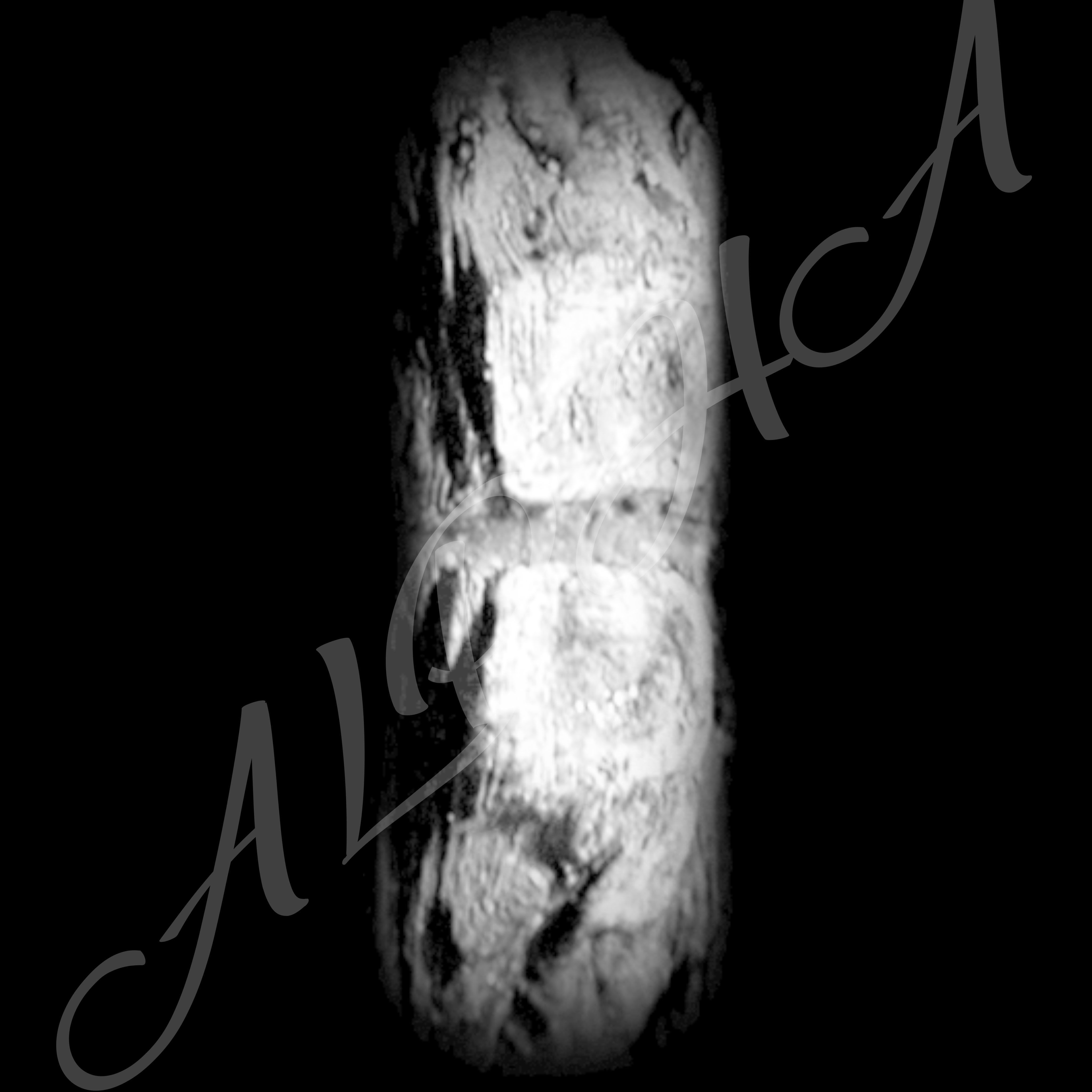 Skin 240 Alpha Patterns 4K Size Full Pack Texture Texture_14