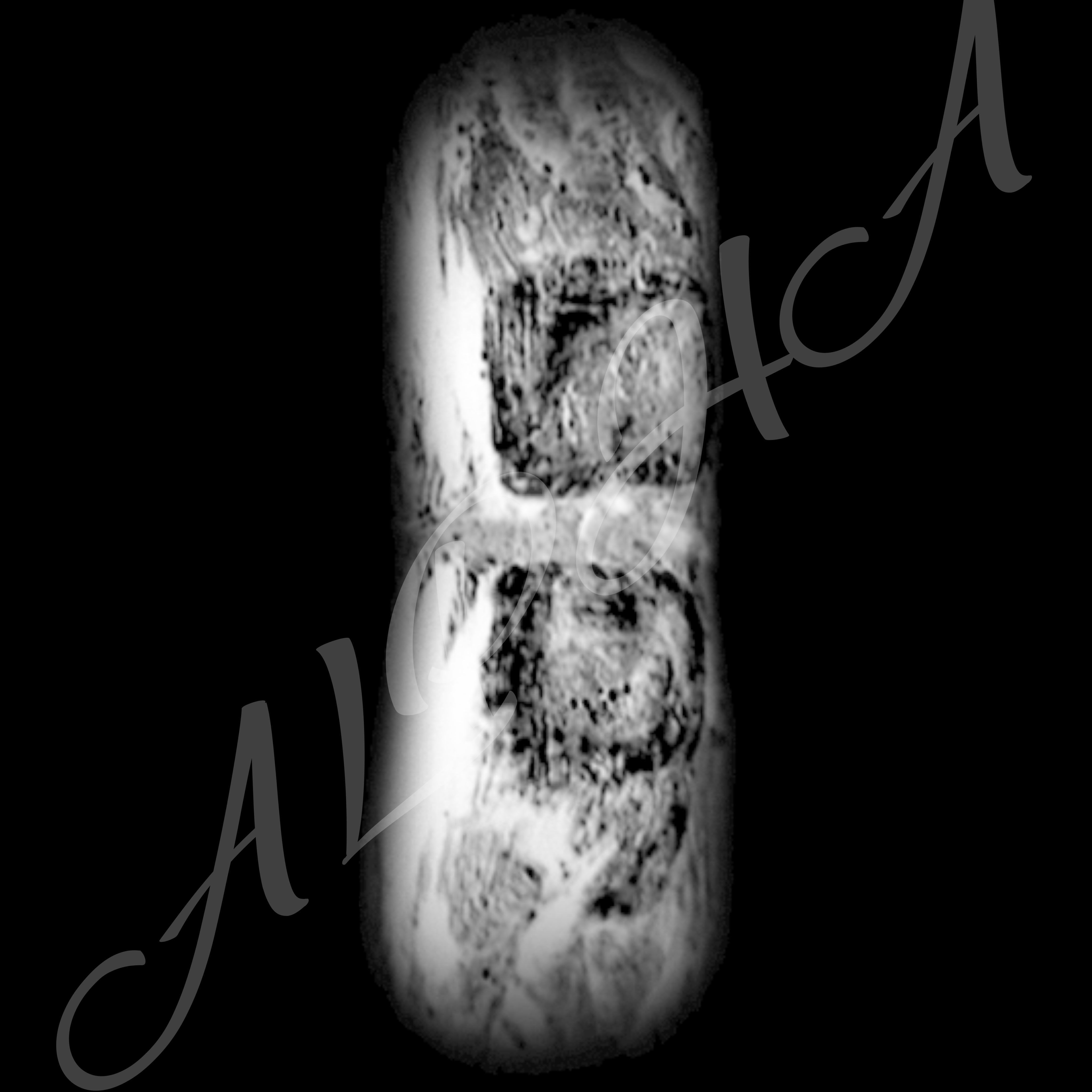 Skin 240 Alpha Patterns 4K Size Full Pack Texture Texture_13