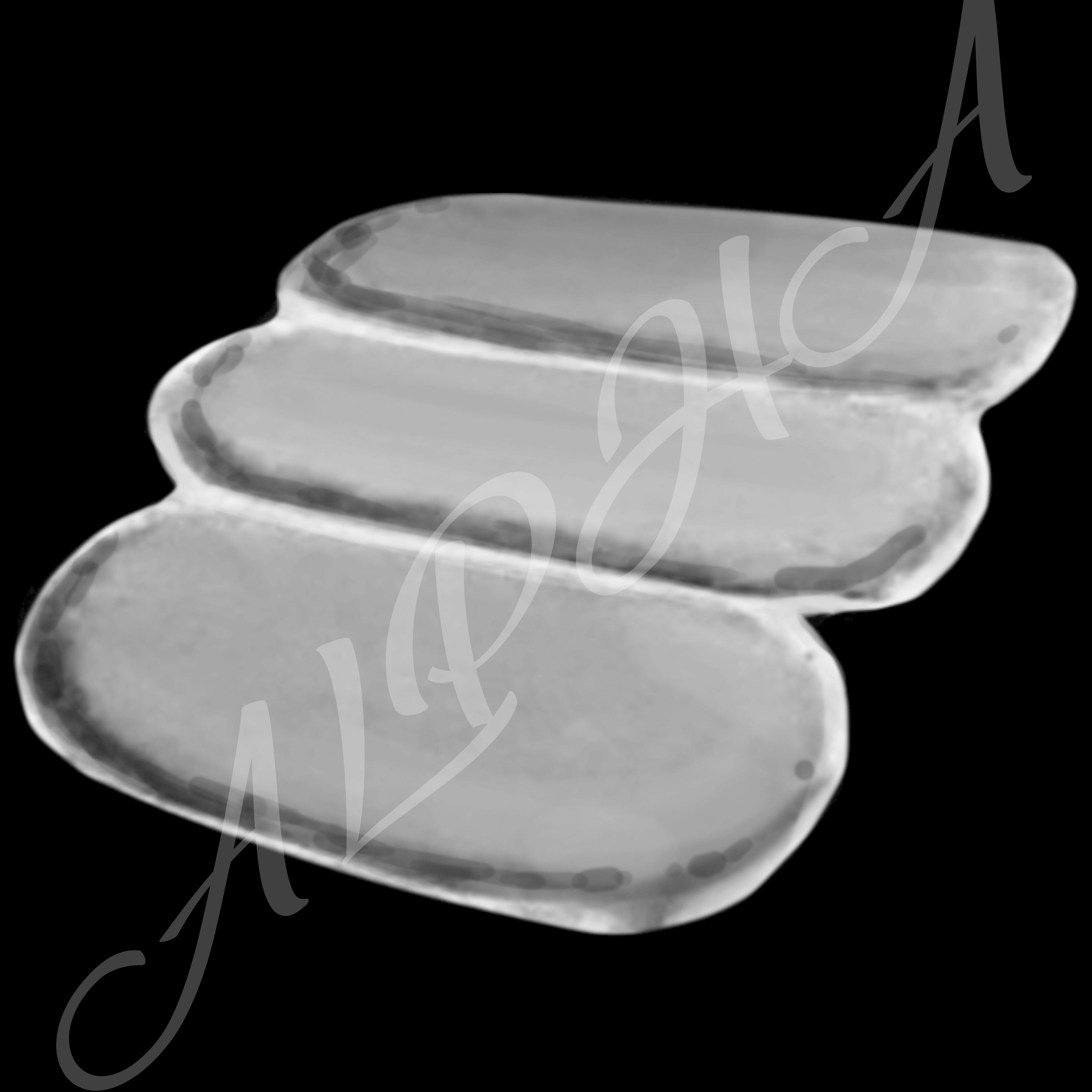 Skin 240 Alpha Patterns 4K Size Full Pack Texture Texture_27