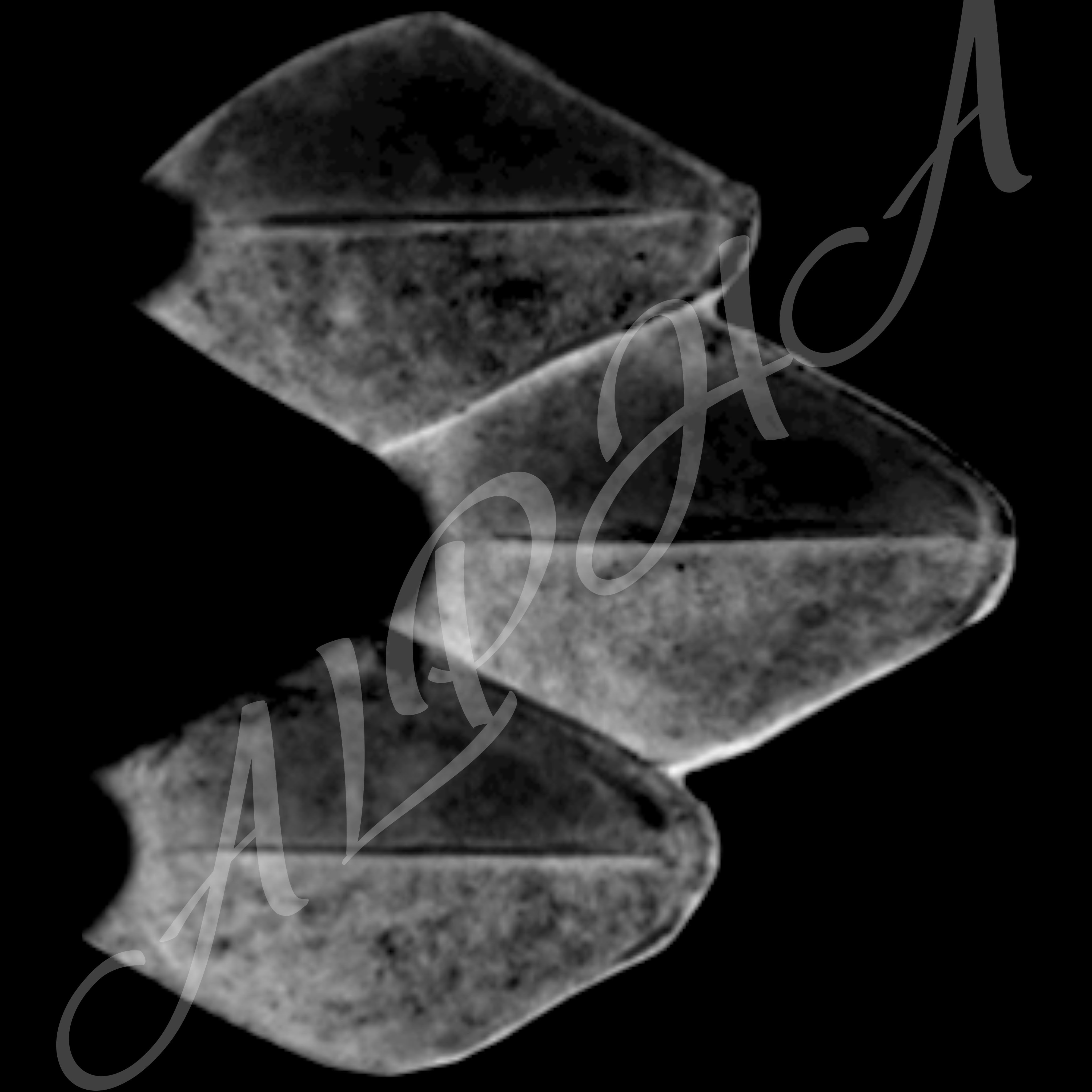 Skin 240 Alpha Patterns 4K Size Full Pack Texture Texture_10