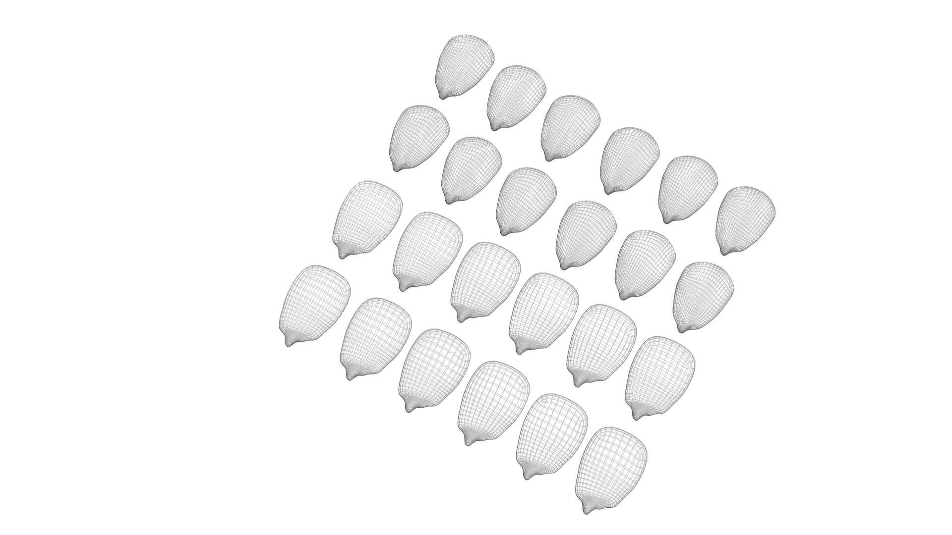 Colored Corn Kernels Set 3D model_14