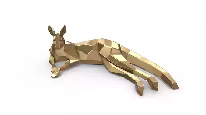 kangaroo