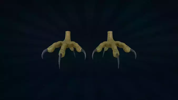 FOOT-005 Rigged Bird Foot