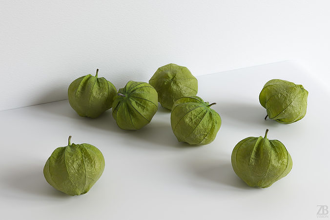 Tomatillo 3D model