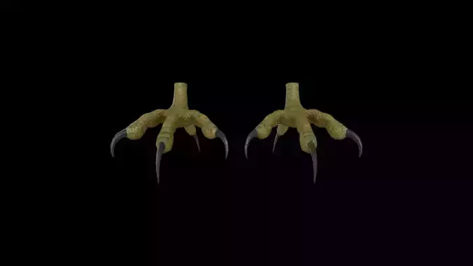 FOOT001 Rigged Bird Feet