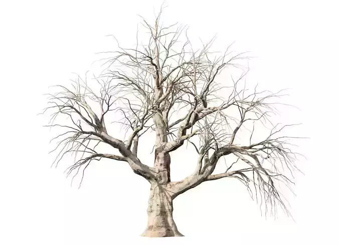 Realistic Leafless Tree Trunk Low-poly 3D model