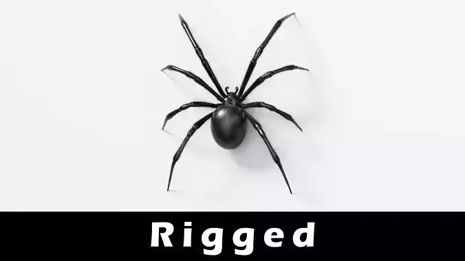 Black Widow Spider Low-poly 3D model