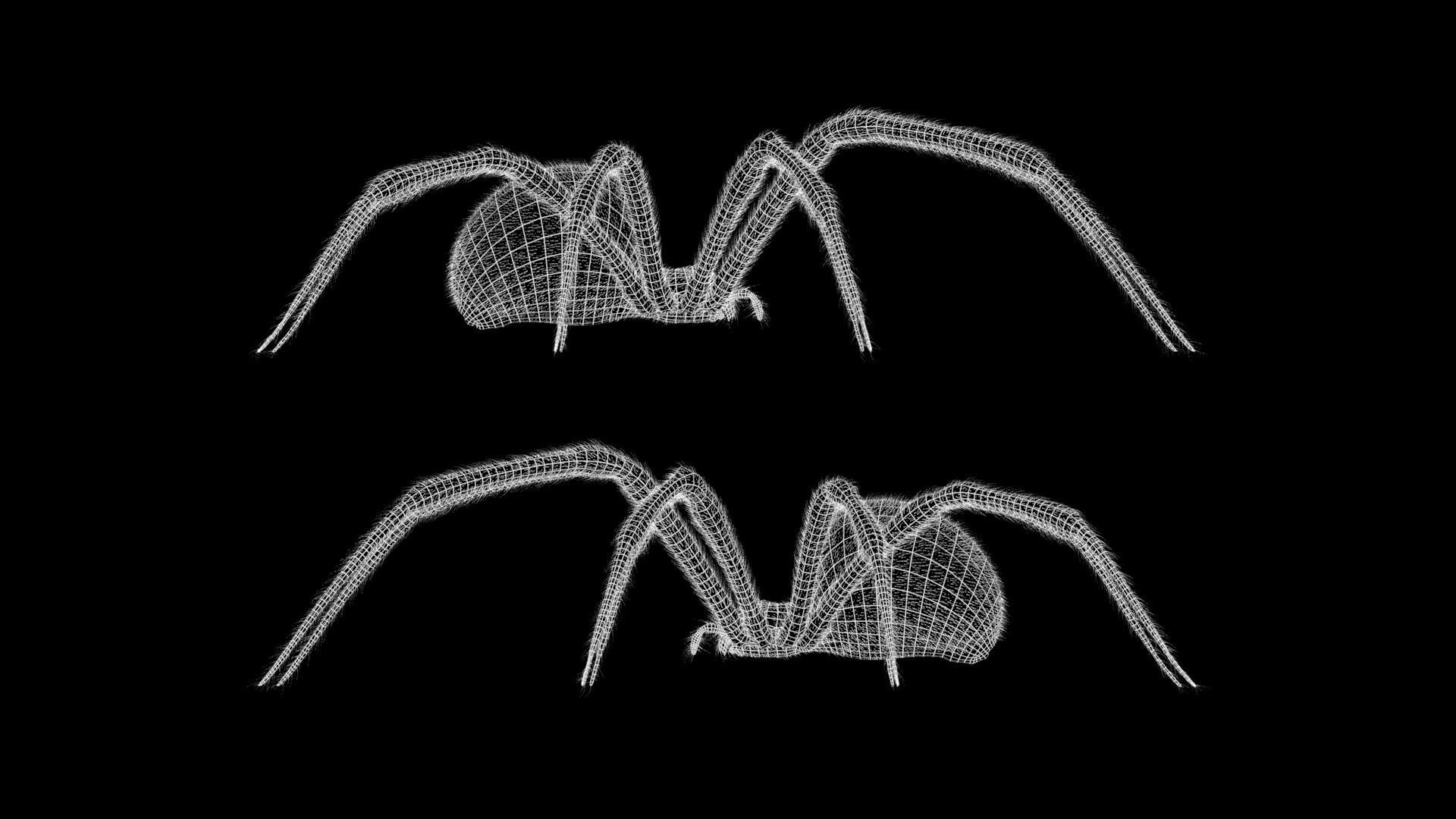 Black Widow Spider Low-poly 3D model_12