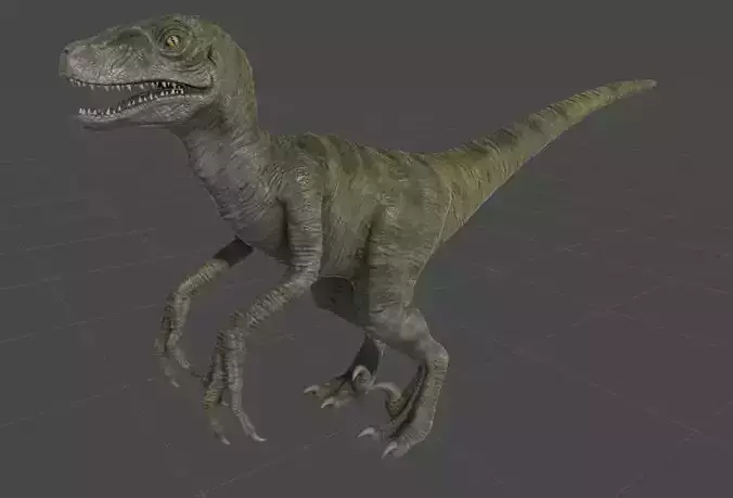 Raptor dinosaur