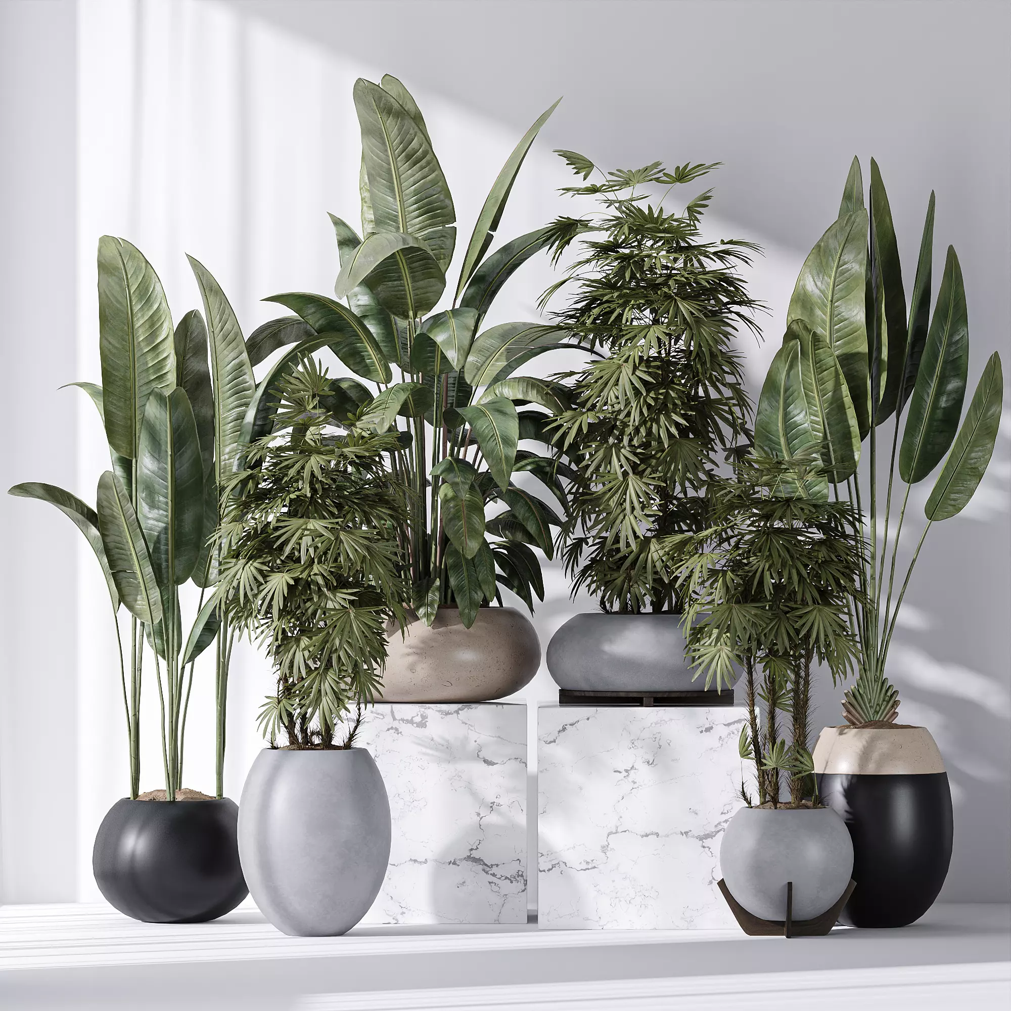 ParadiseBird and Rhapis Excelsa Lady Palm Vase 16 3D model