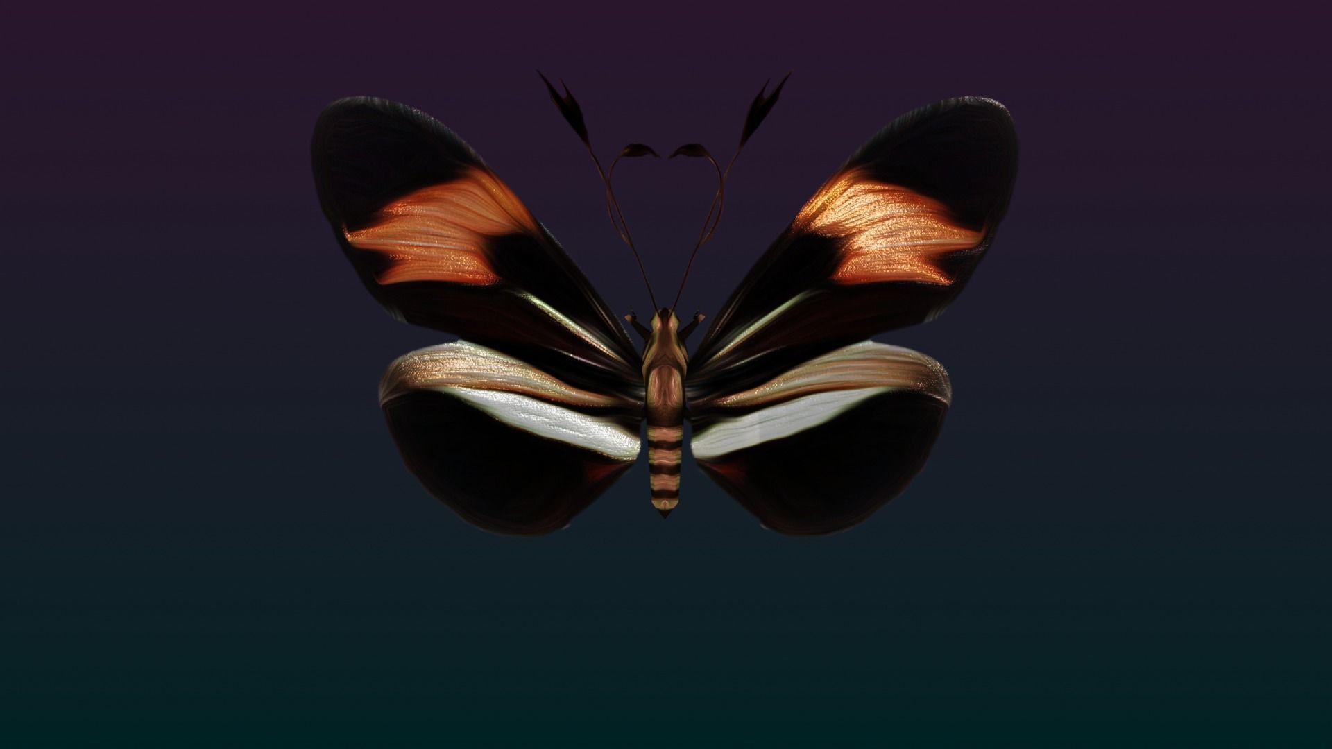 Butterflies Animated  Low-poly 3D model_21