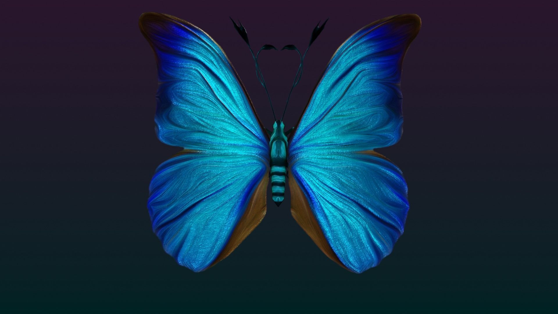 Butterflies Animated  Low-poly 3D model_9