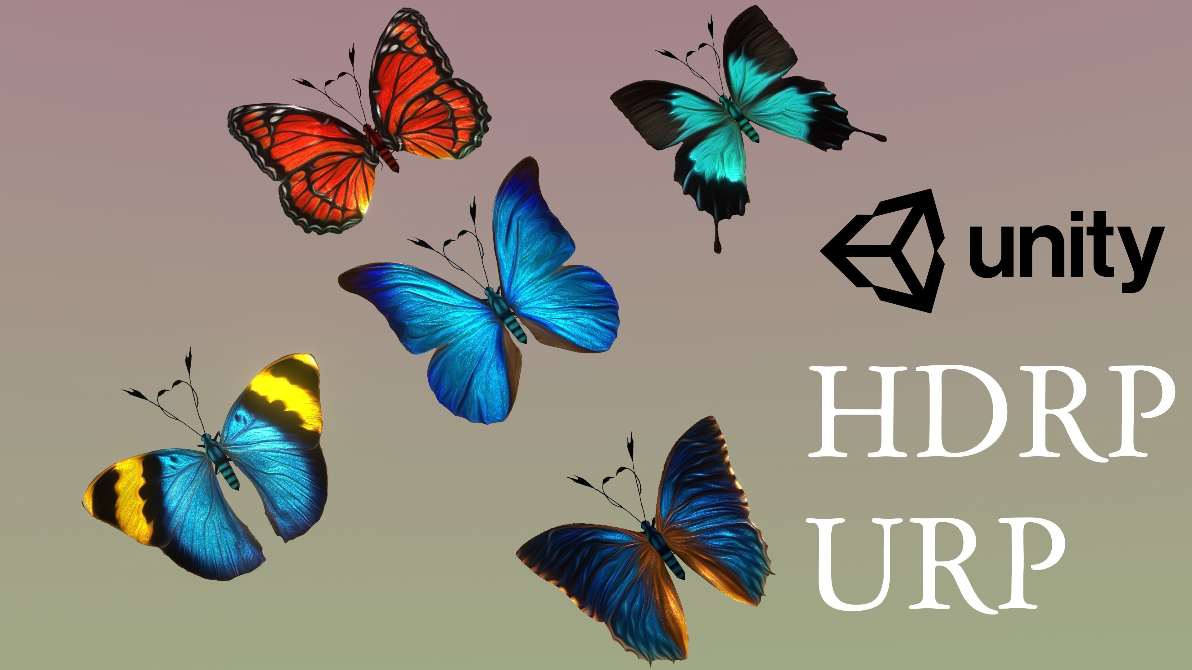 Butterflies Animated  Low-poly 3D model_34