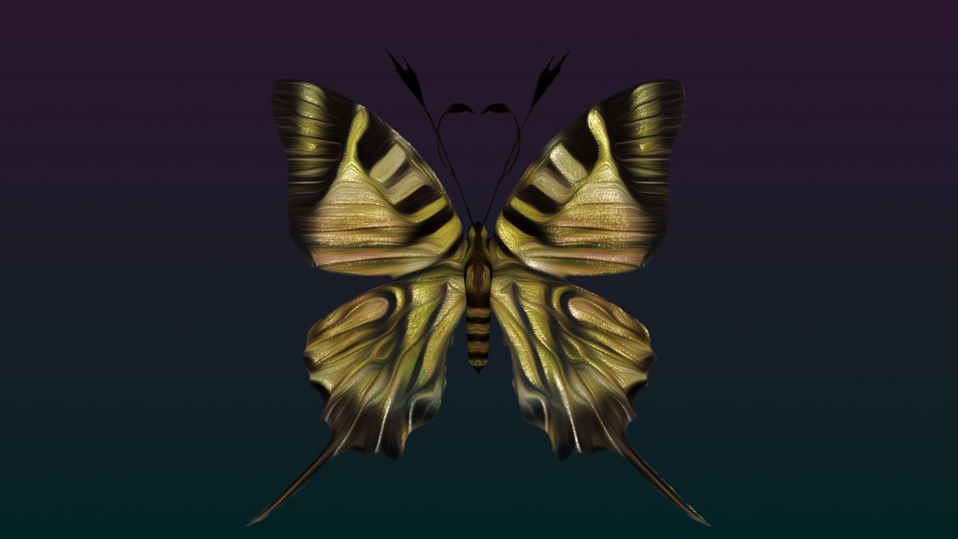 Butterflies Animated  Low-poly 3D model_8