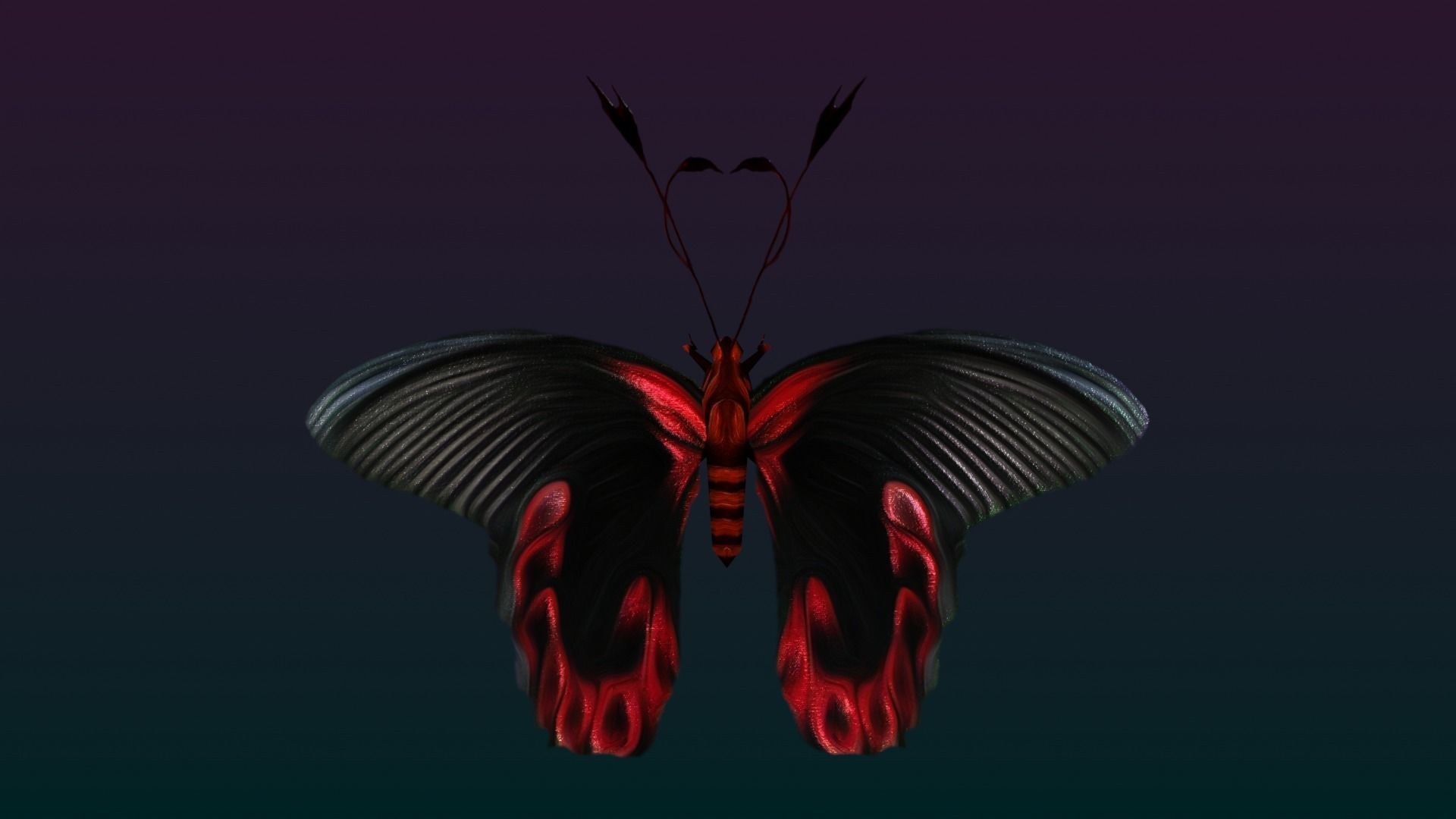 Butterflies Animated  Low-poly 3D model_30