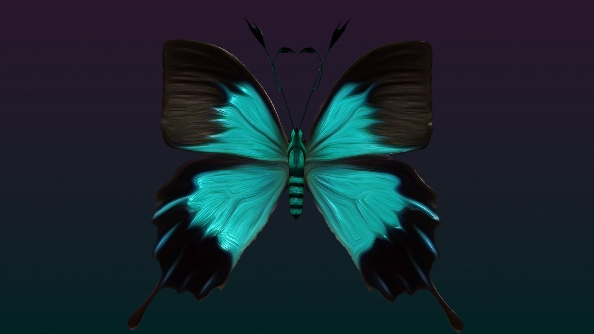 Butterflies Animated  Low-poly 3D model_29