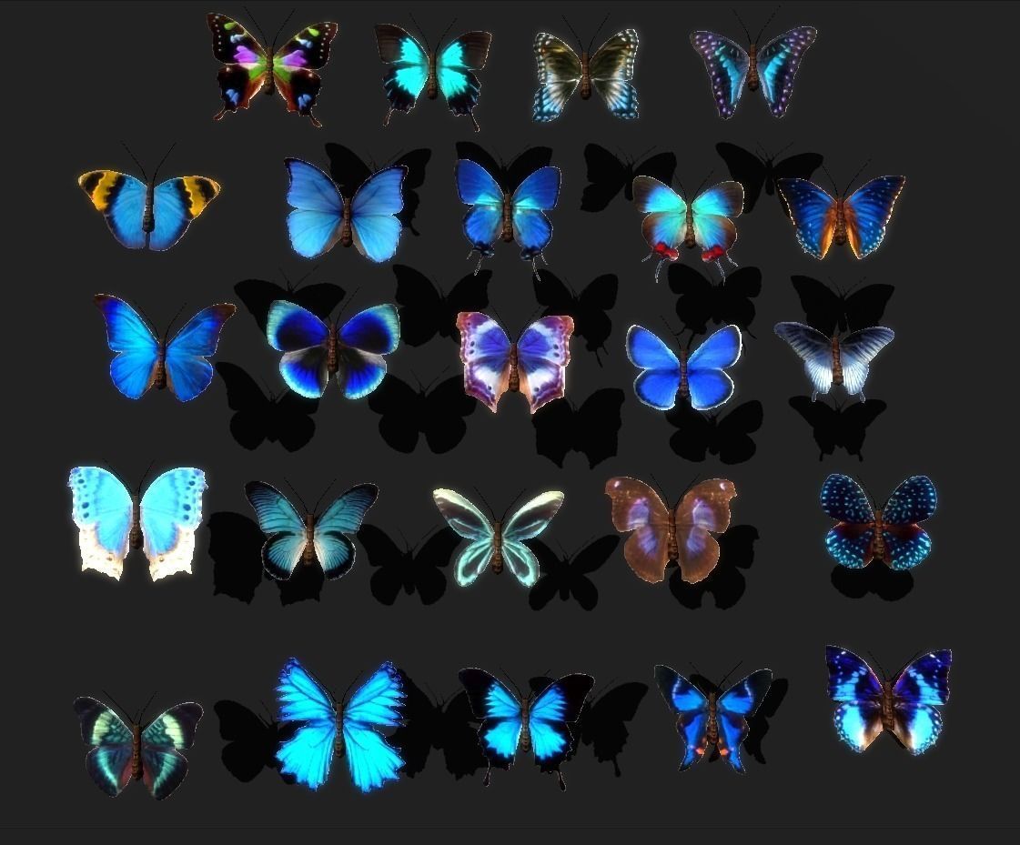 Butterflies Animated  Low-poly 3D model_15